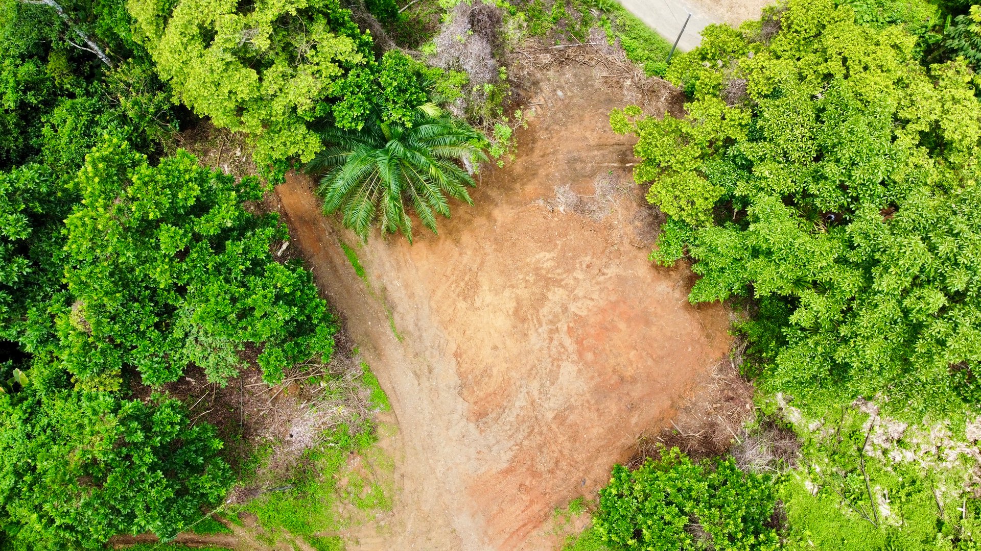 Ready-to-Build Land in San Antonio de Damas: 2,6-Acre with Terraces & Road Frontage