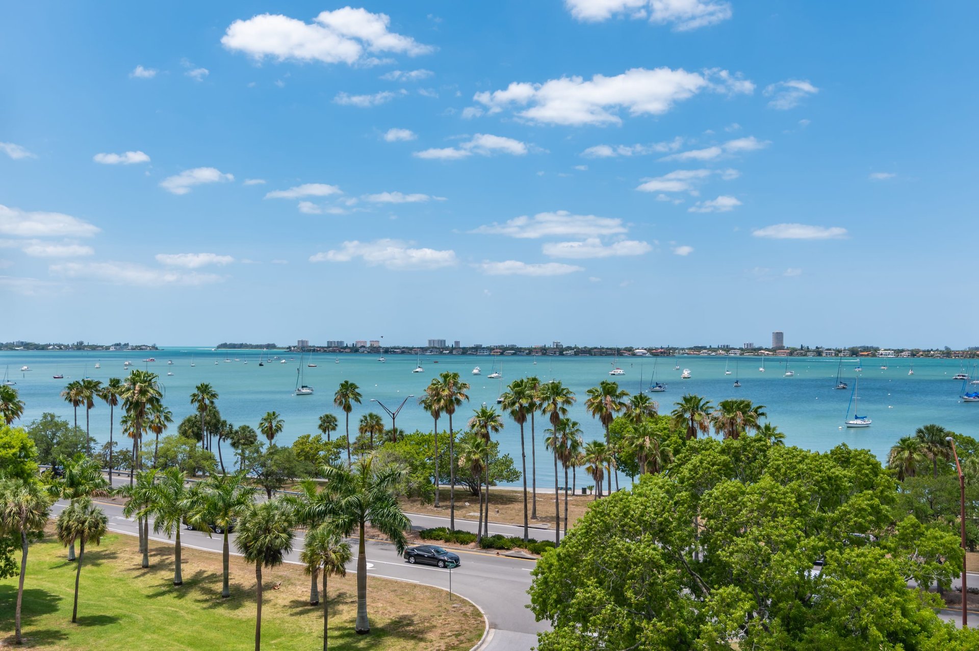 624 Palm