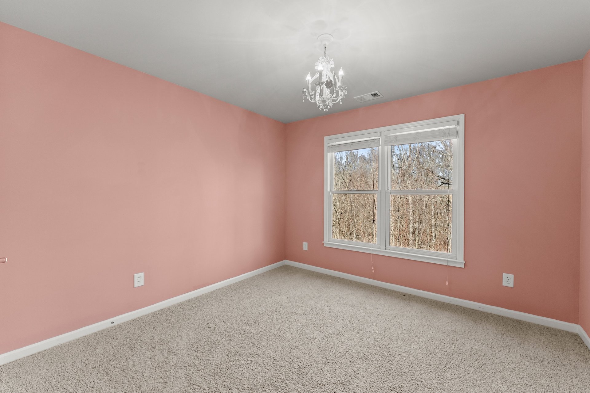 7534 Mossy Log Ct, Flowery Branch, GA 30542