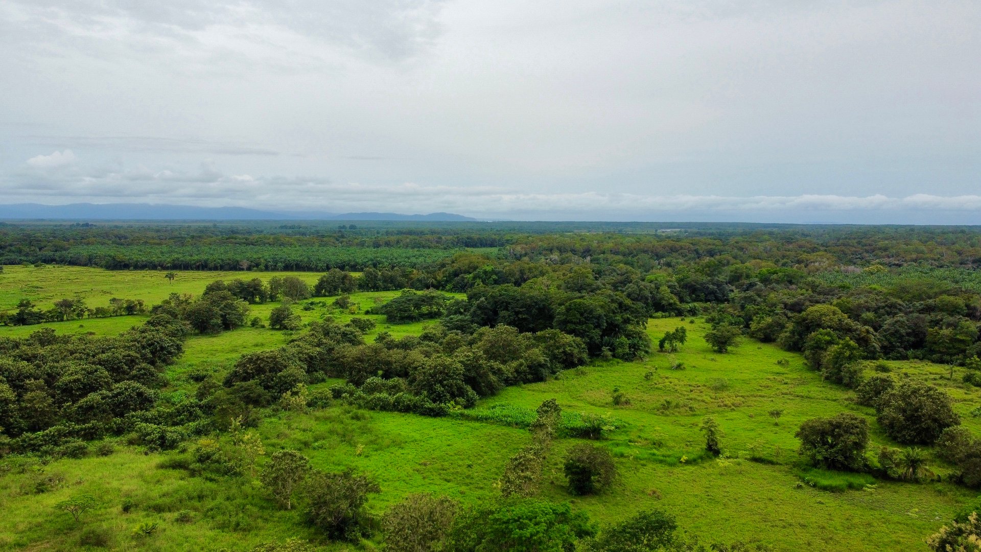 Tawal Lots for Sale – Prime Commercial & Residential Opportunity