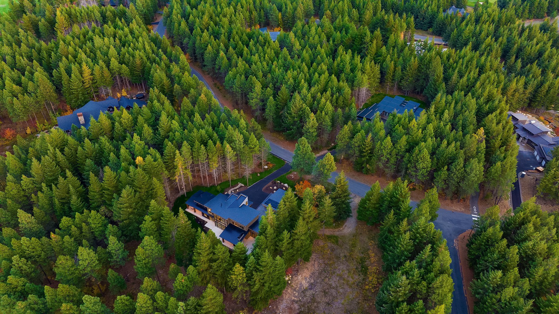 1130 Ruby King Loop