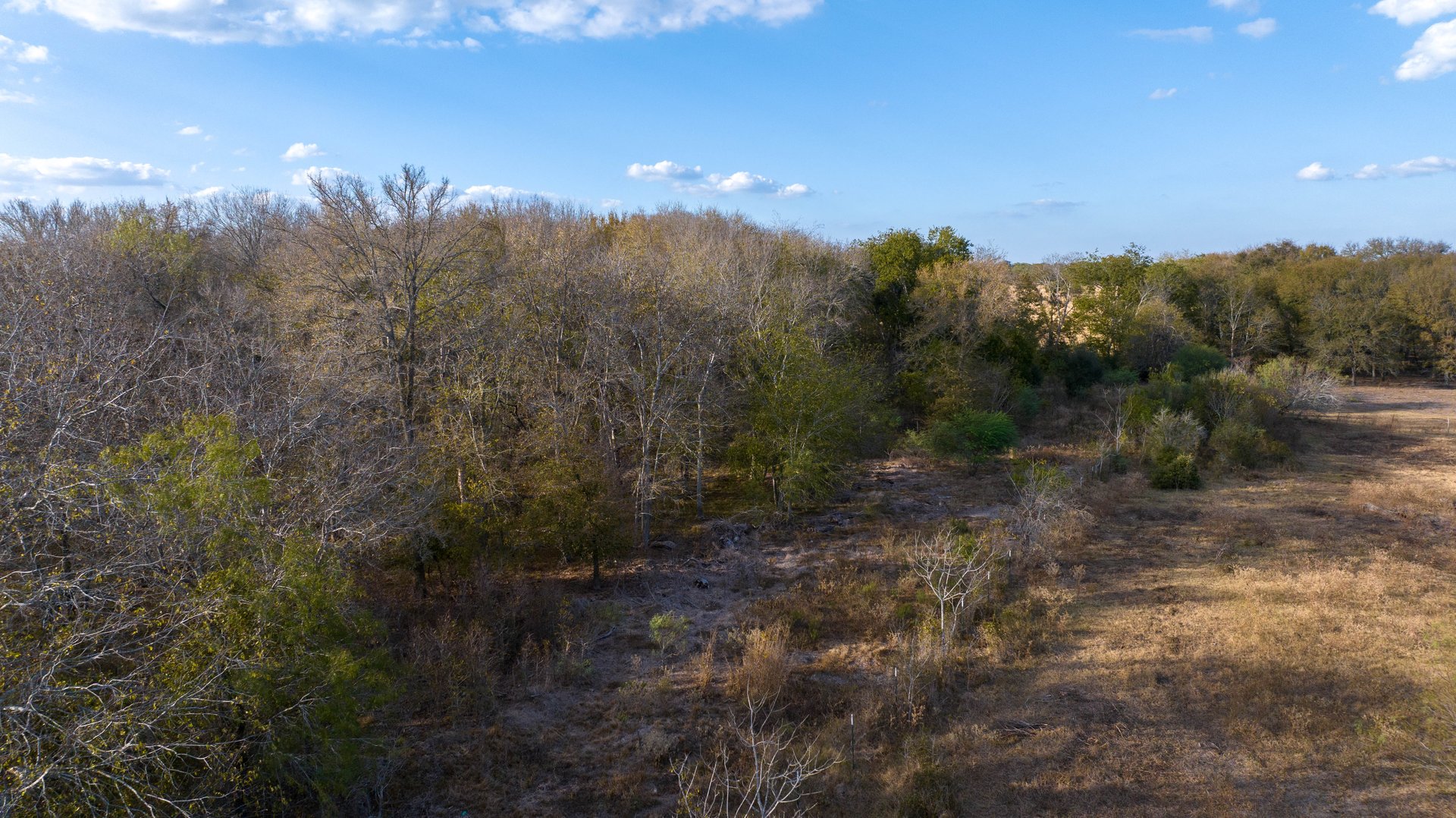 Gonzales County | 104+/- Acres