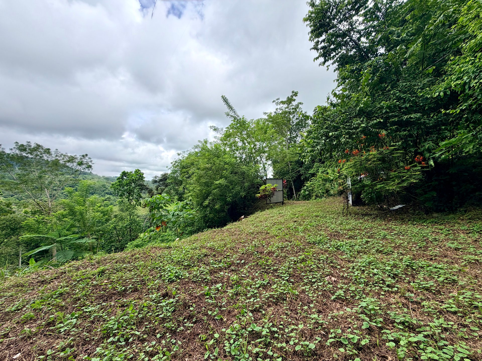 Tres Ríos Jungle Sanctuary | Ready-to-Build Lot Surrounded by Nature