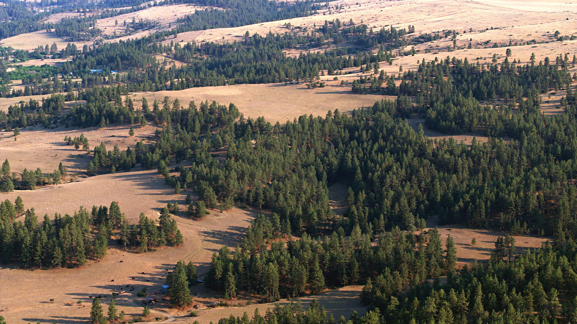 Stillwater County Ranch - Represented Buyers