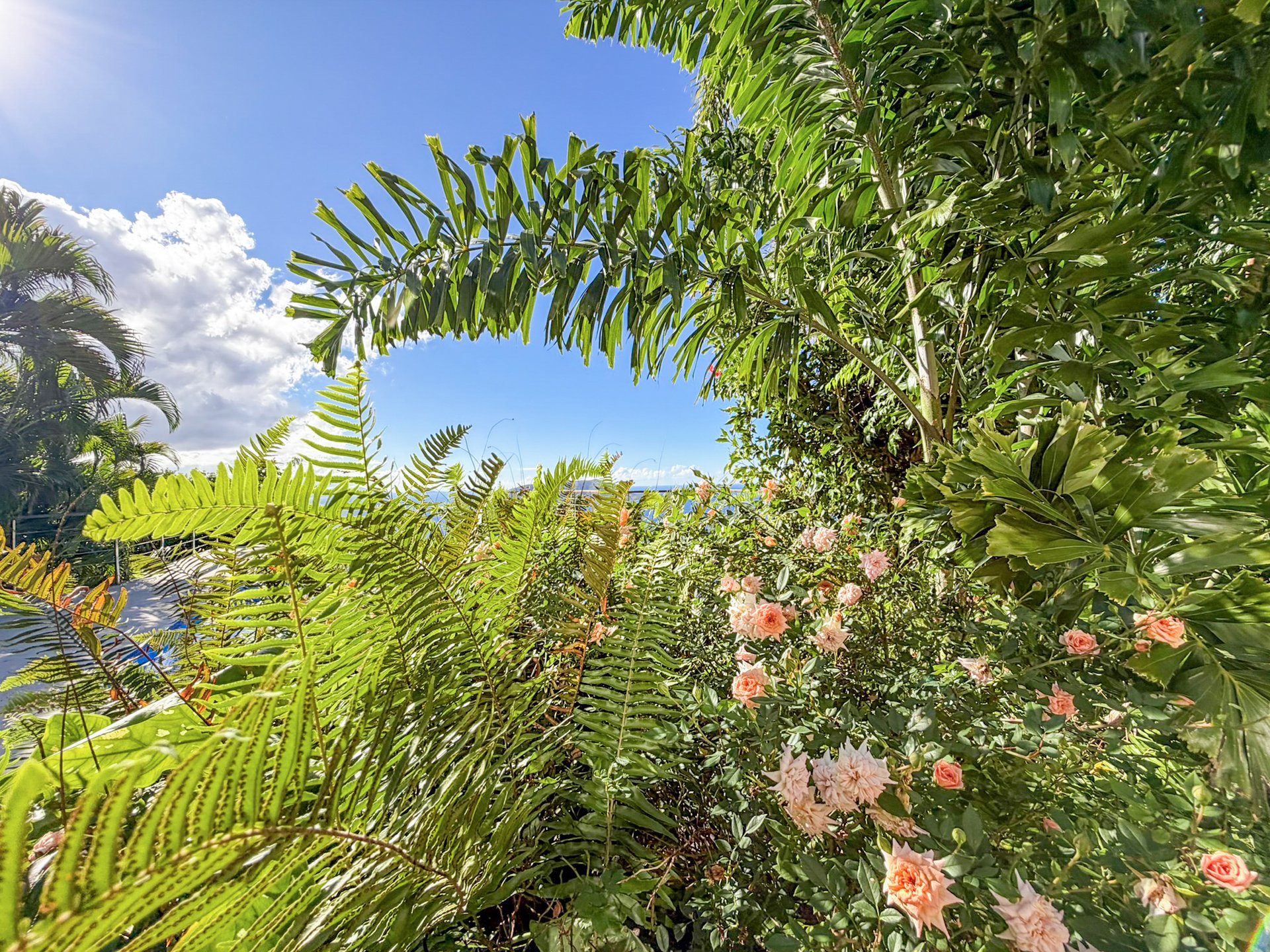 1105 Villa Botanica
