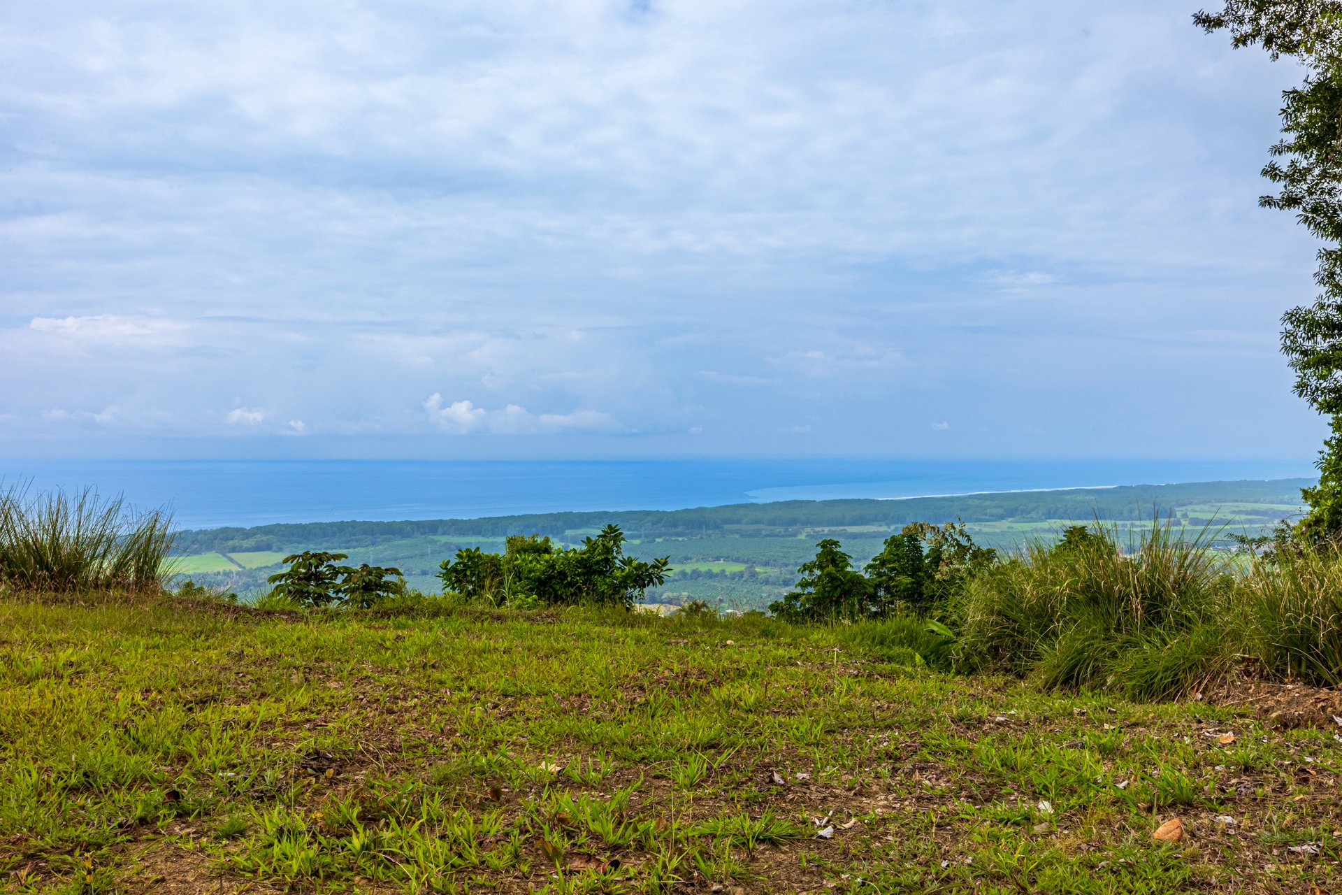 A Unique Ocean View Estate Designed for Visionary Investors