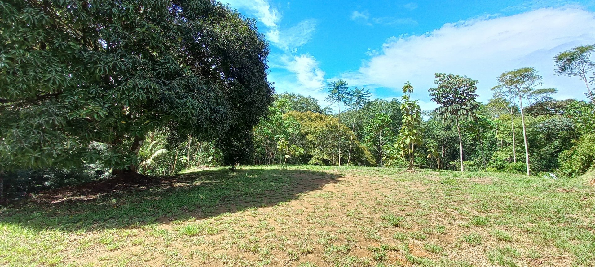 Luxury Rainforest Home + Guest House on 11 acres