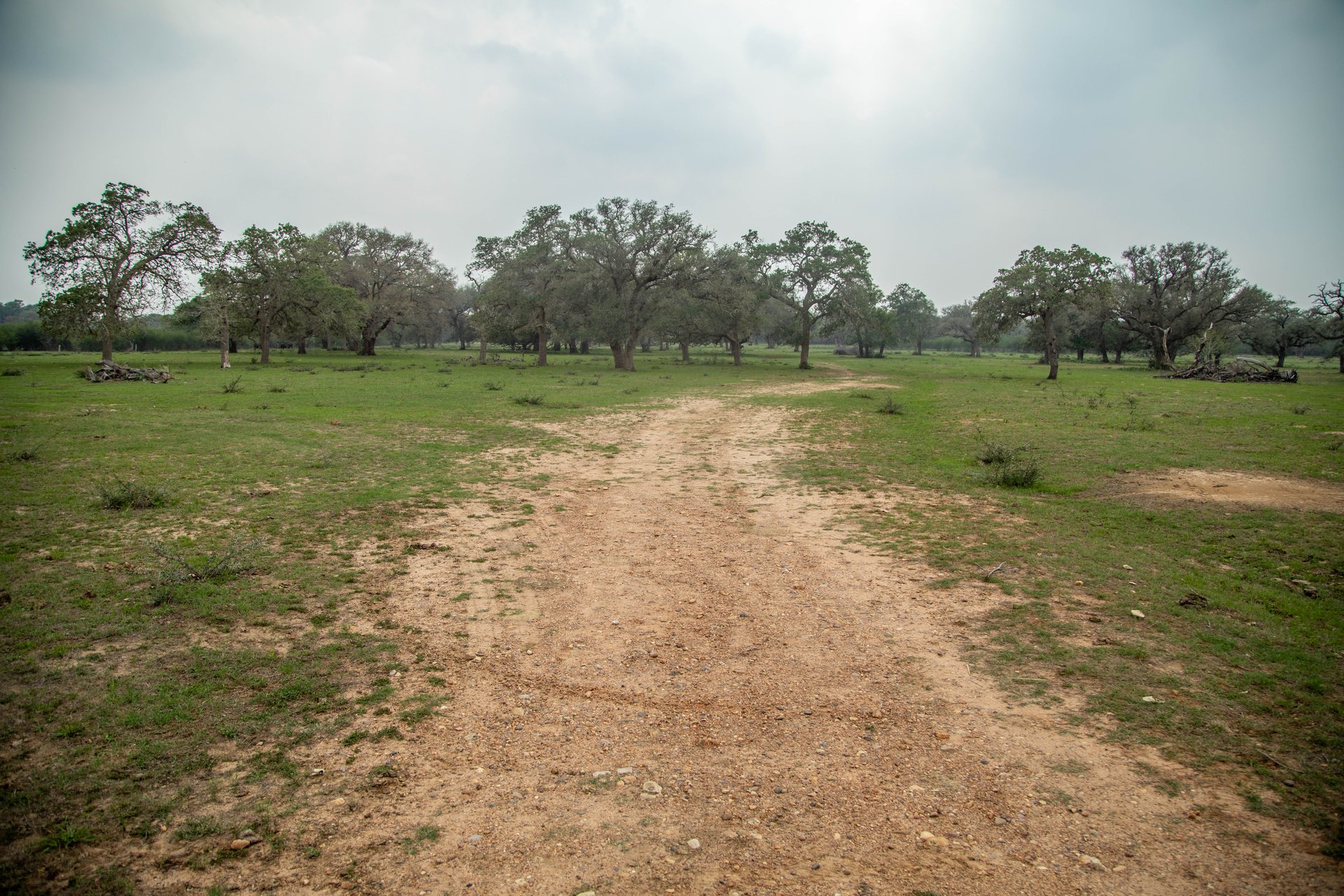 Five Mile Creek Reserve | 252.73± Acres-High Fence | DeWitt County, TX