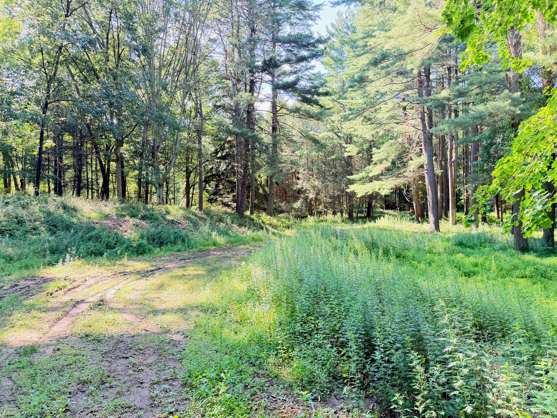 340 Haines Road