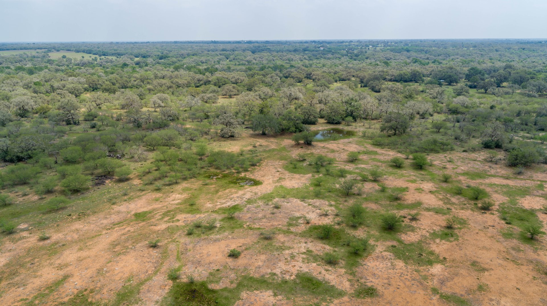 Five Mile Creek Reserve | 252.73± Acres-High Fence | DeWitt County, TX