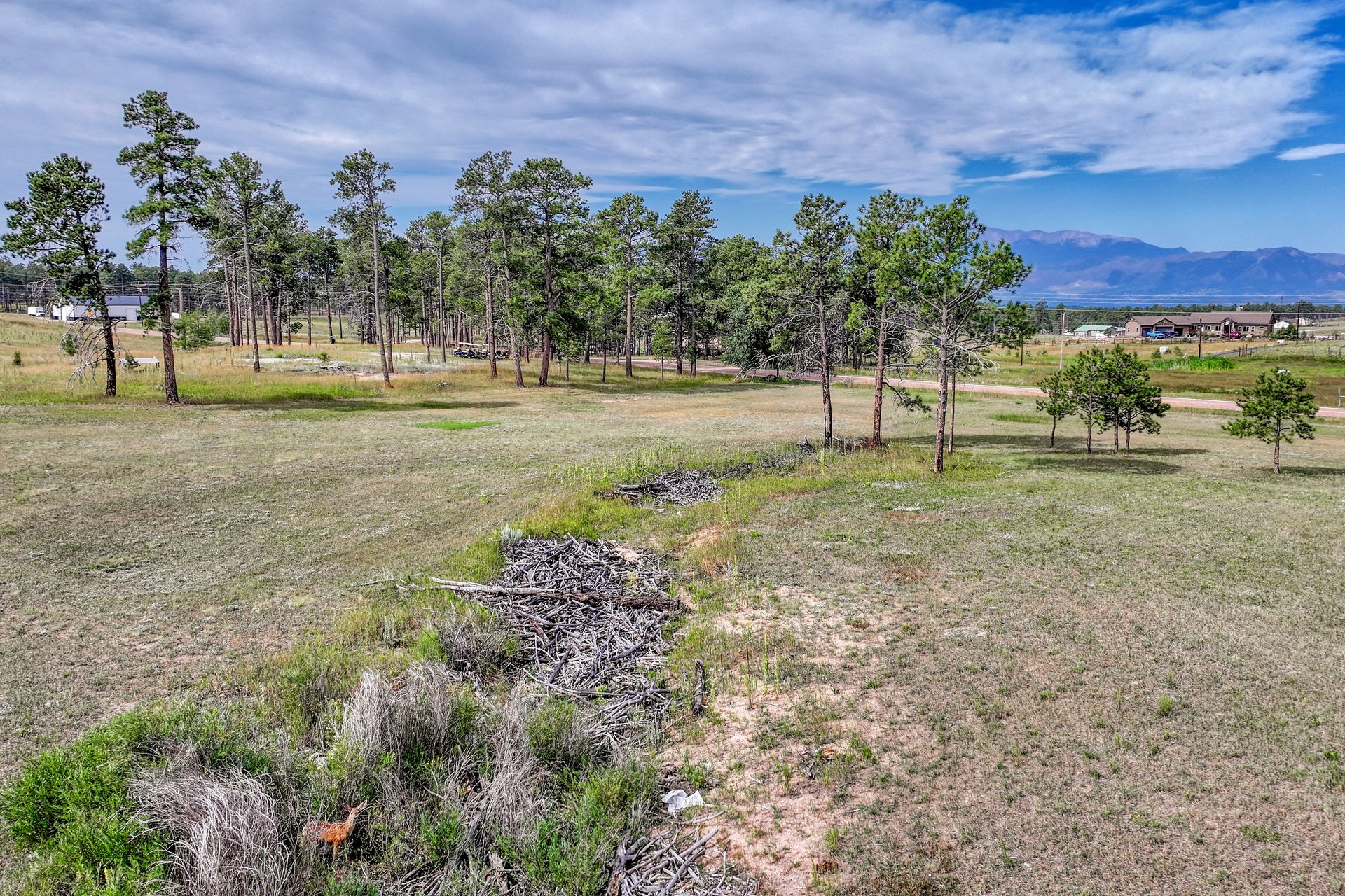LOT 4 Forest Heights Circle
