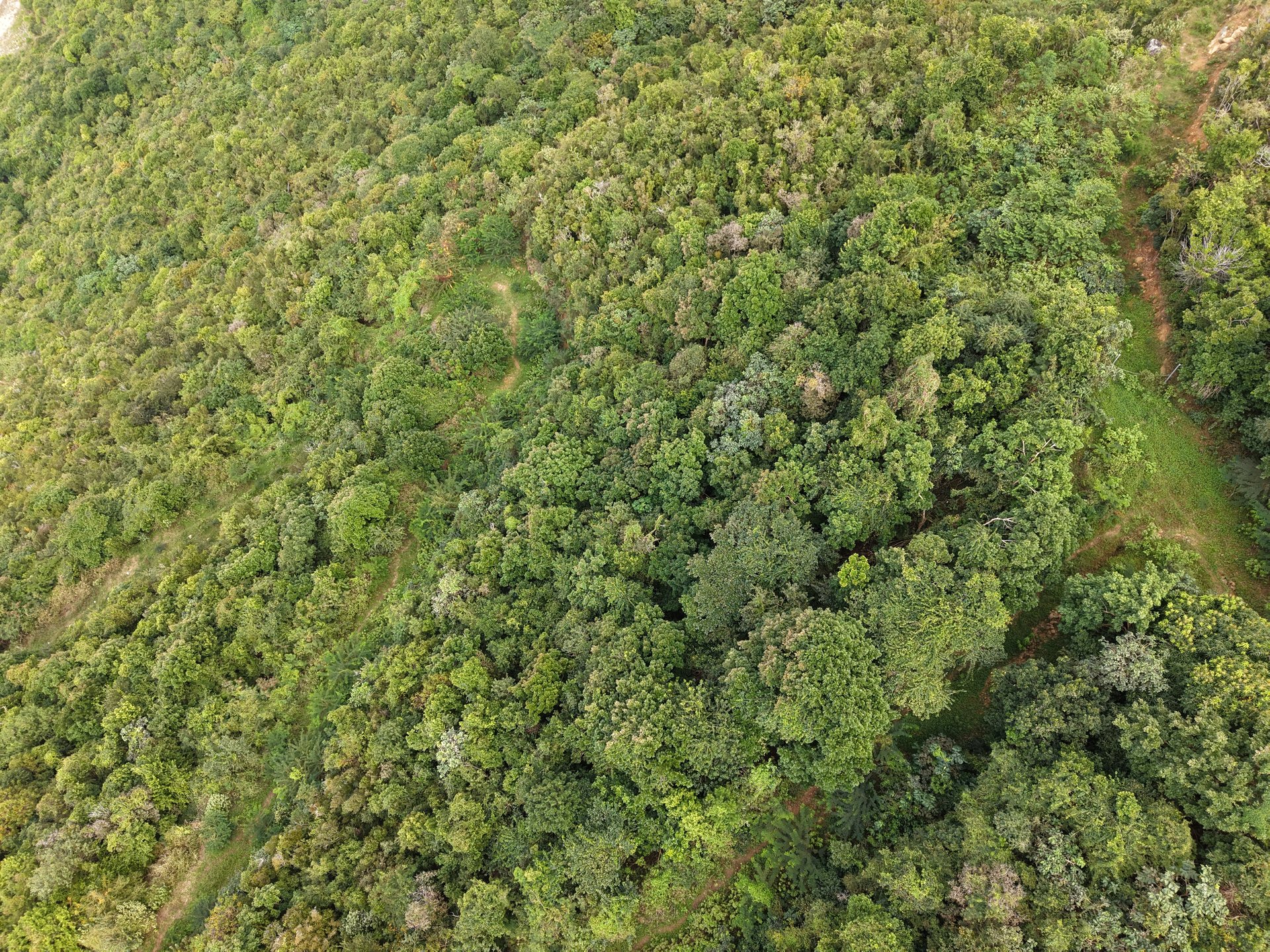 1030 Lorimer Lot - 0.51 Acres Close to the Ocean