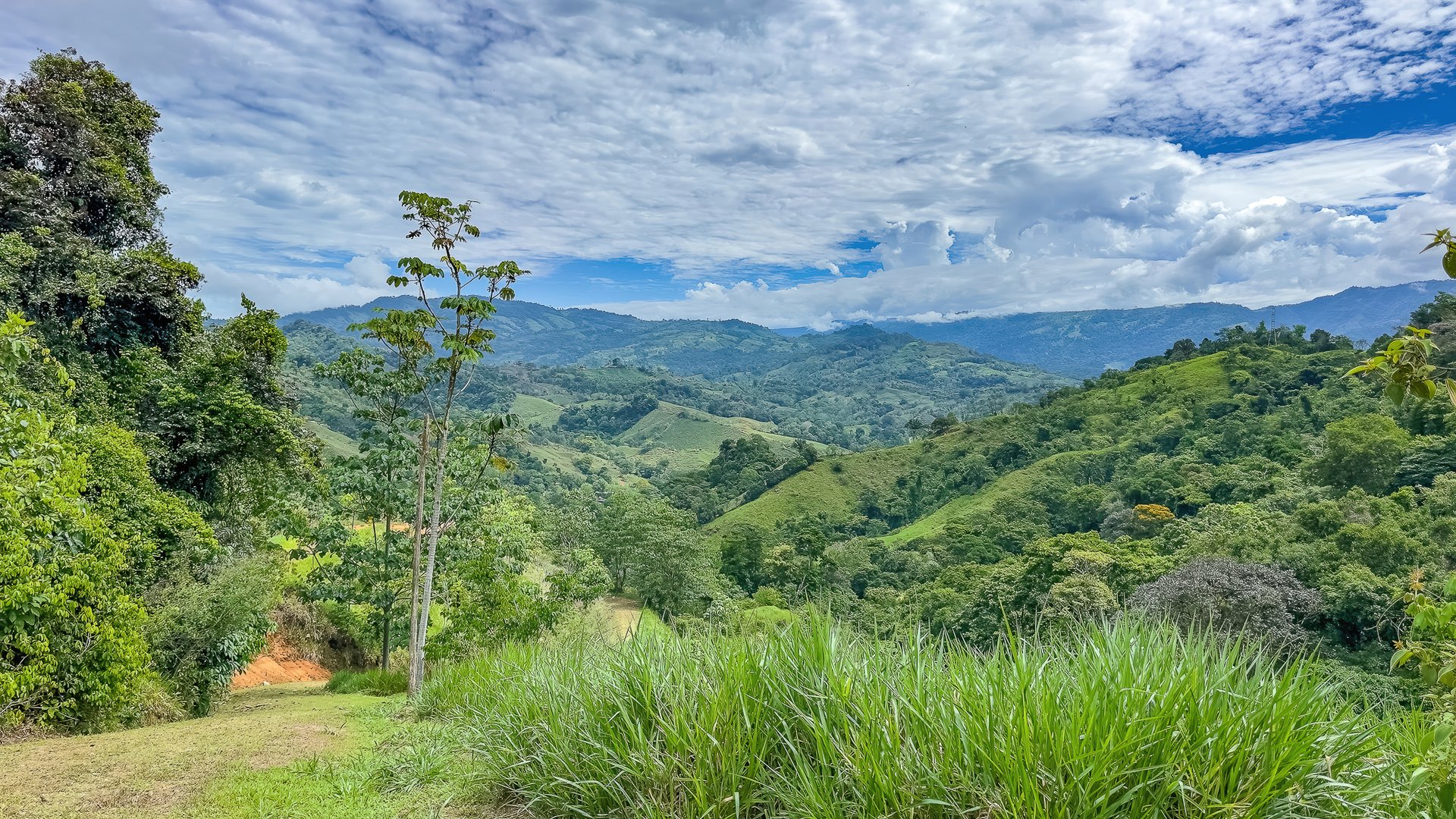 60+ Hectares in Platanillo | Own Your Own Mountain in Costa Rica