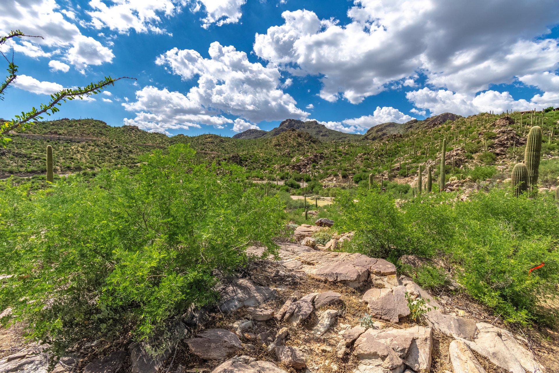 Lot #68 - 3455 Old Saguaro Ranch Road