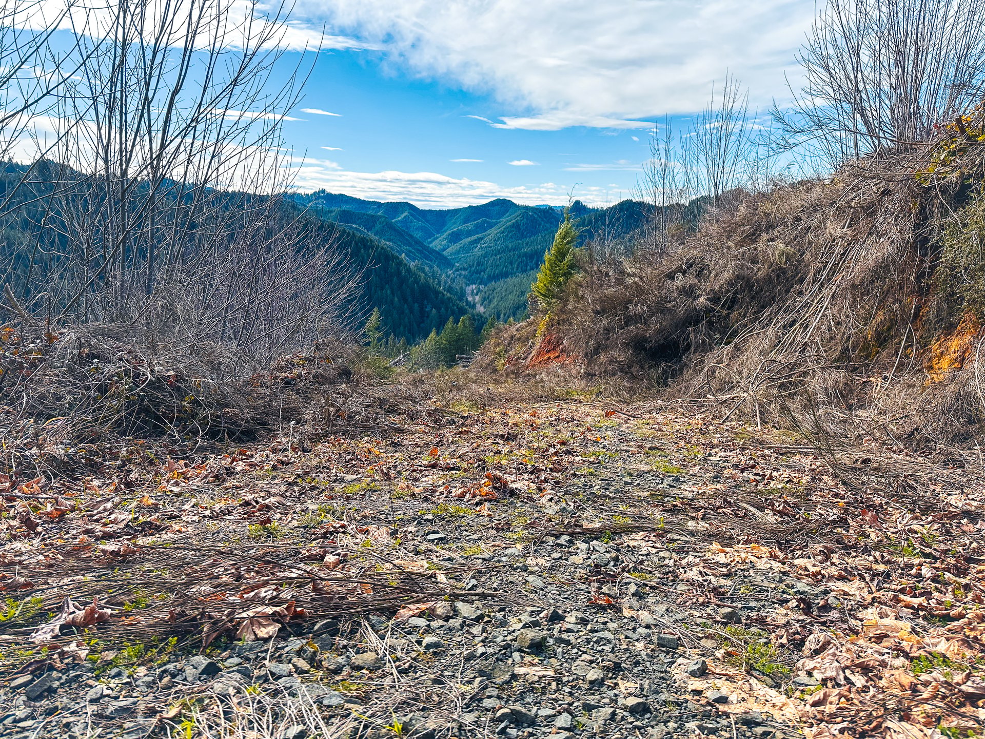 Smith River Back Woods