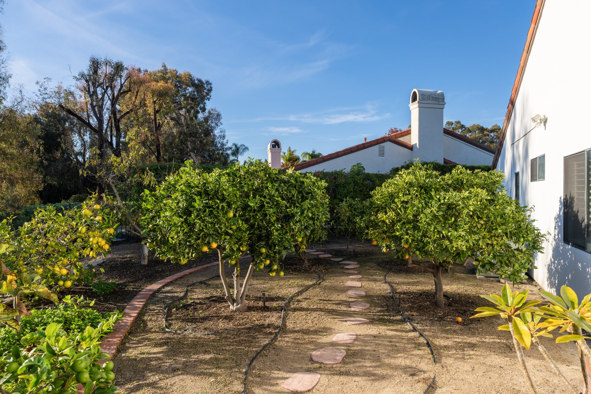 905 Olive Crest Dr.