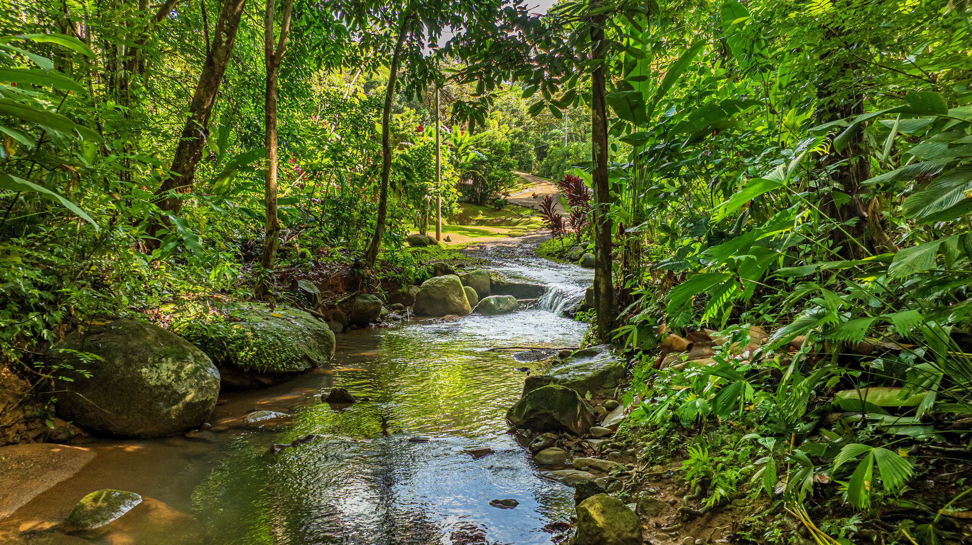 A Jungle House Built of Wood & River Dreams