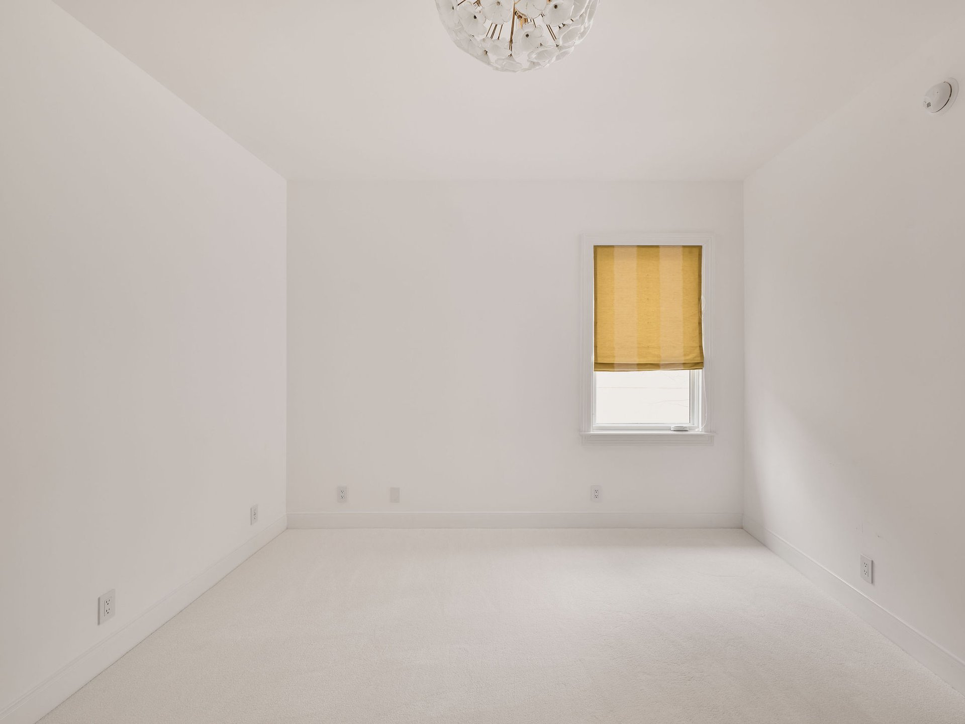 1408 Elton Lane