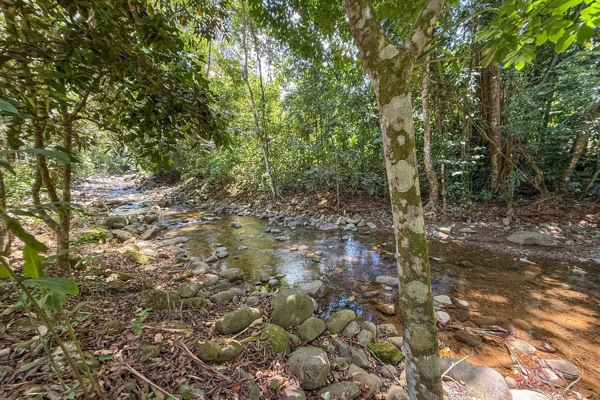 Gorgeous Jungle Hotel with 11 Beds including Owner/Manager Unit, Sparkling Pool & River Setting in Ojochal Costa Rica