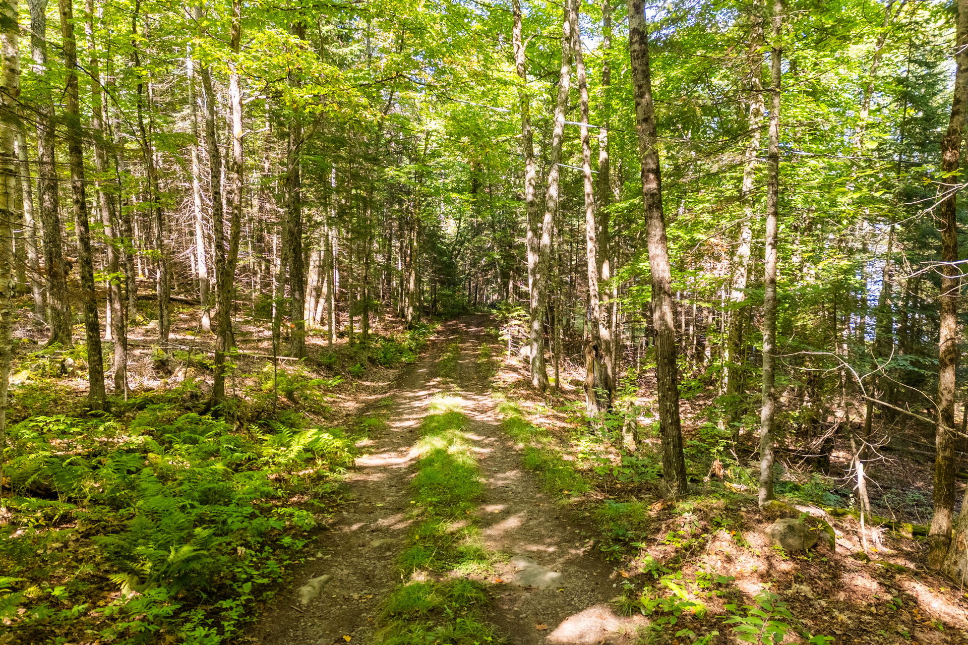 4339 Muskoka Road 117, Lake of Bays