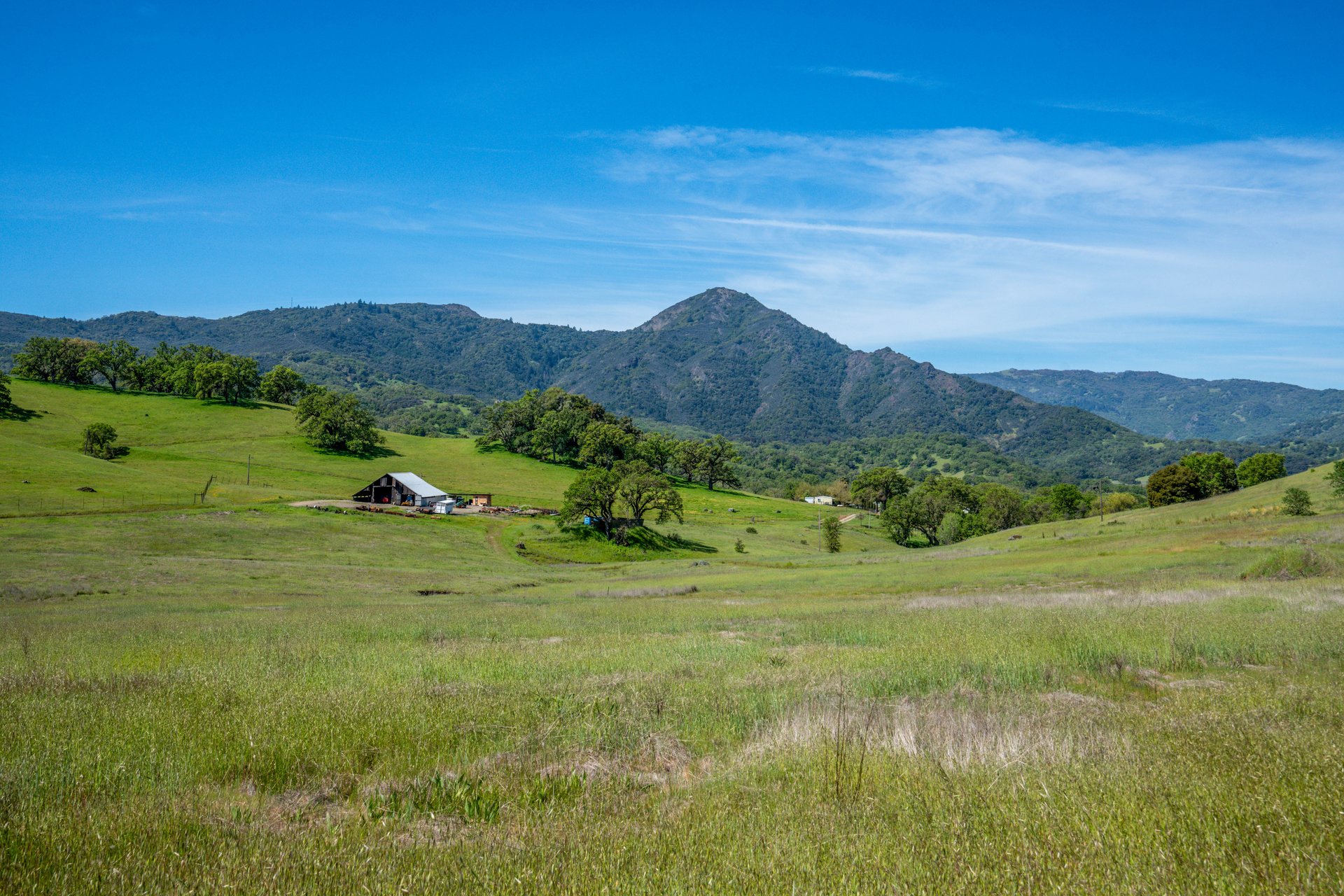 The Hopland Hills Ranch