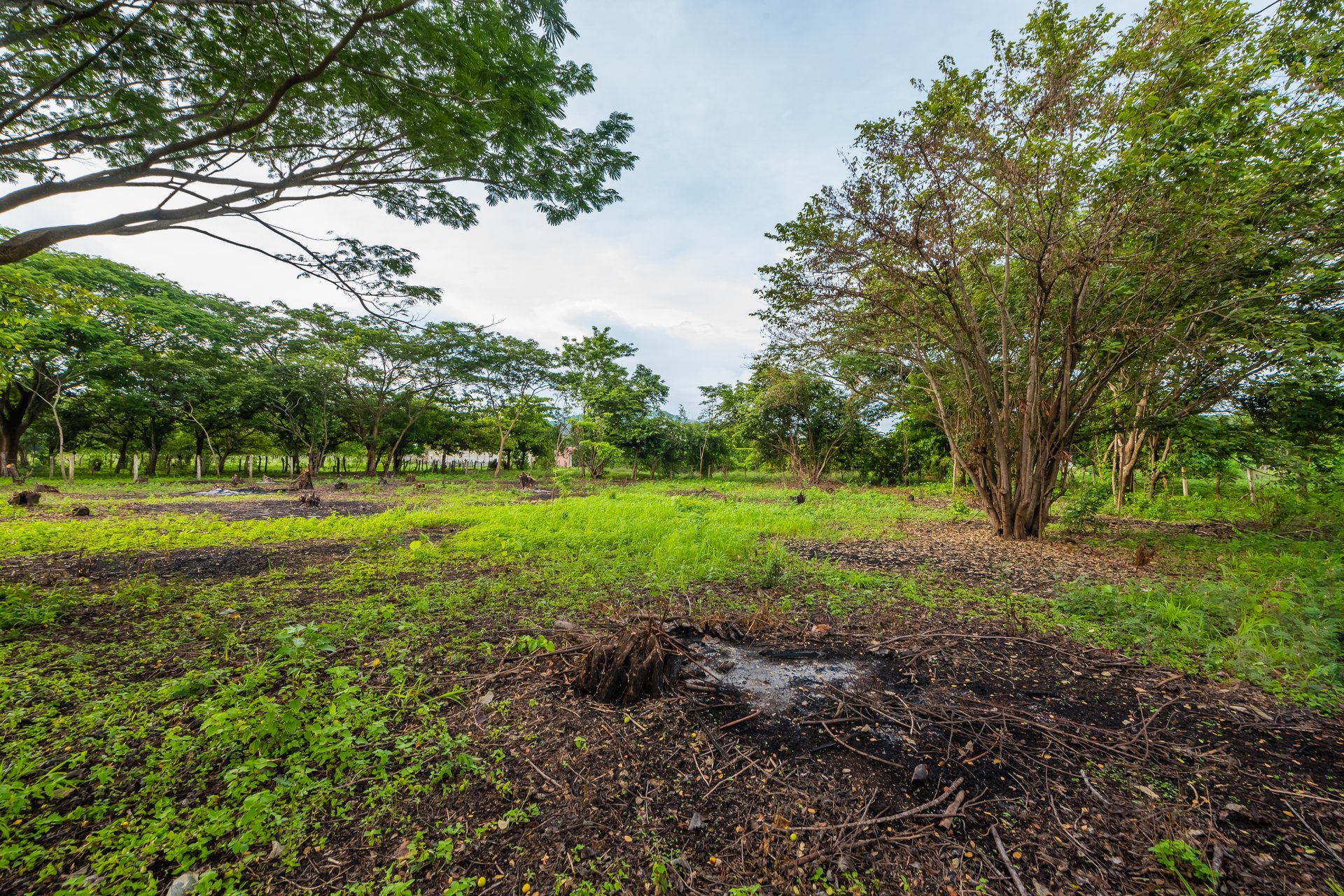 La Garita de Tamarindo Lot | 1.3-Acre Home Site Near Top Beaches, Private, Scenic, and Well-Located