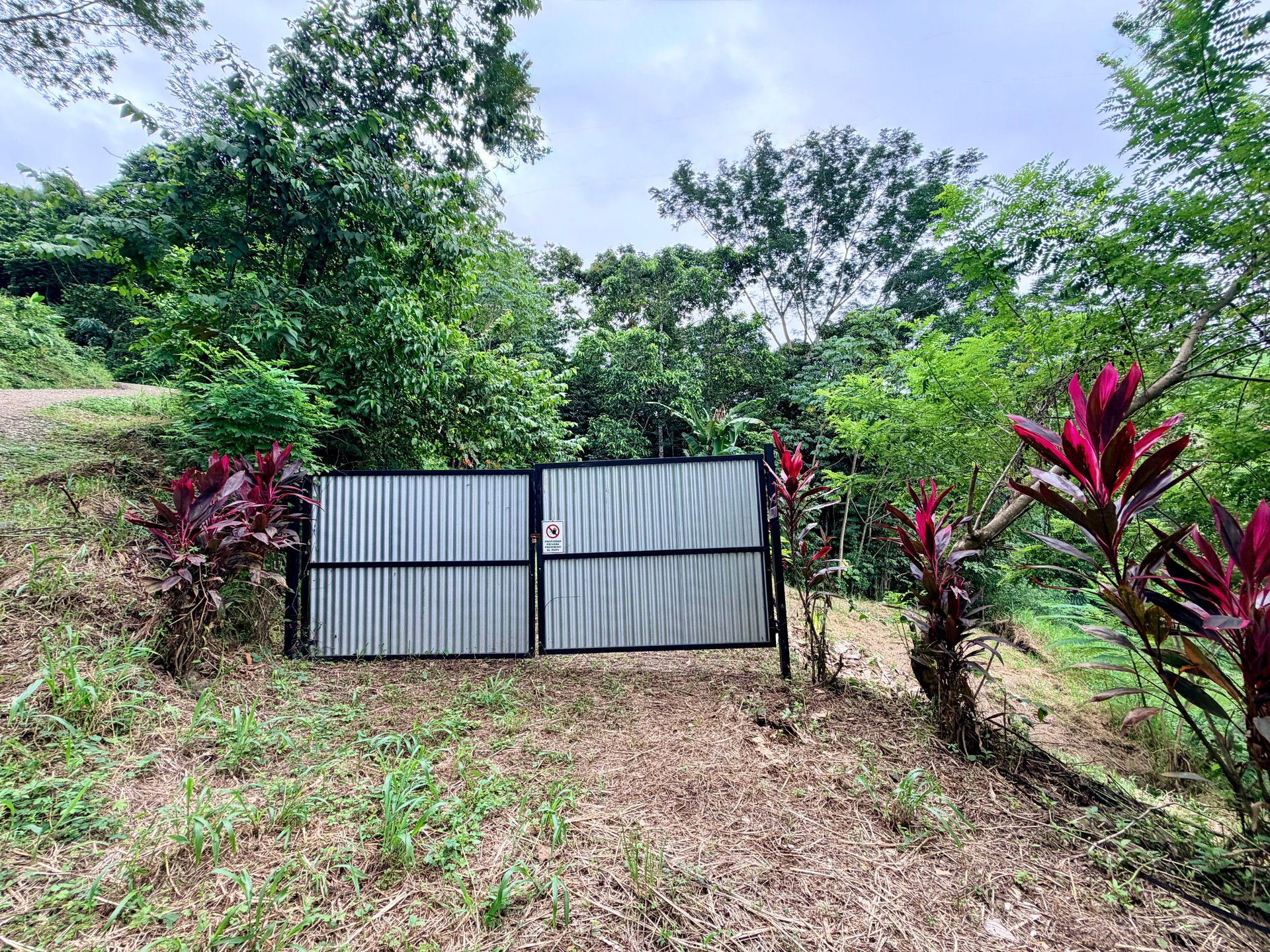 Tres Ríos Jungle Sanctuary | Ready-to-Build Lot Surrounded by Nature