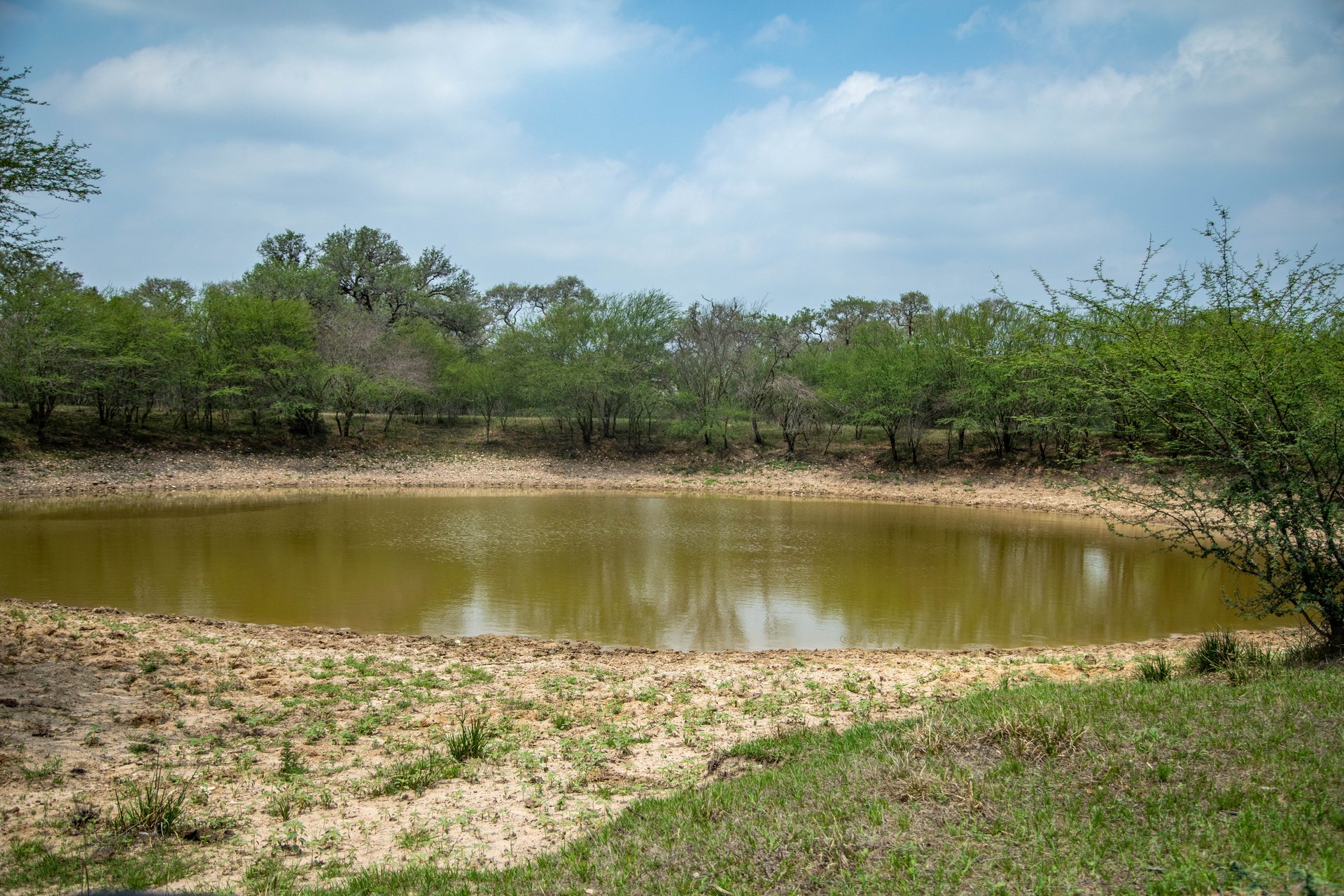 Five Mile Creek Reserve | 252.73± Acres-High Fence | DeWitt County, TX