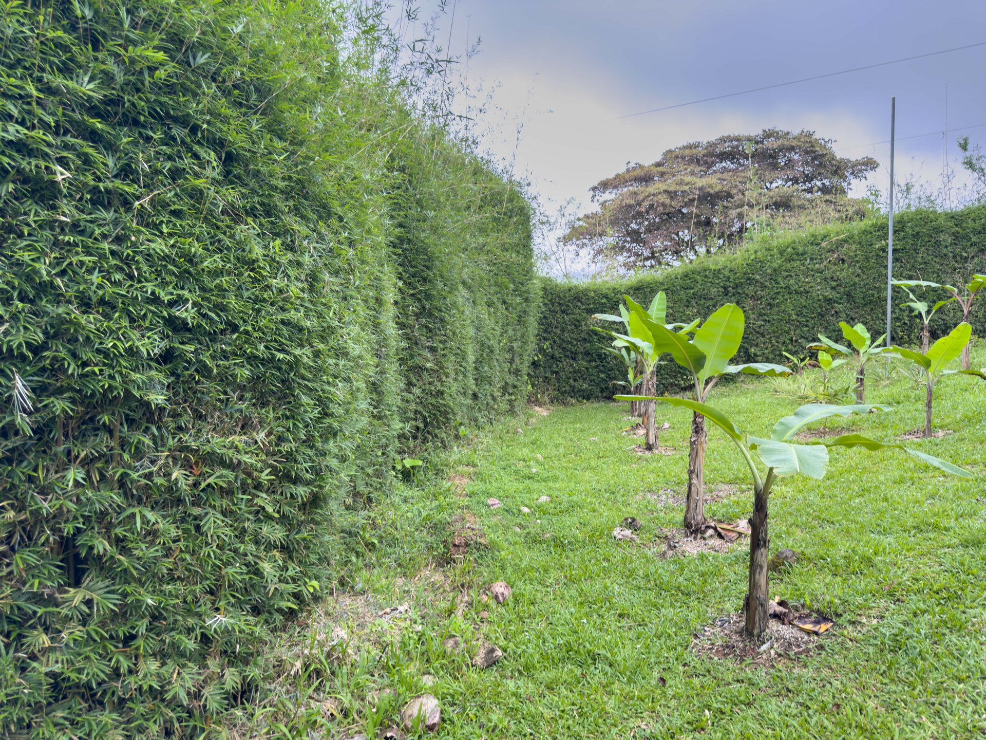 Tinamastes Eco Orchard | Creekside 2BR Home + Studio Casita