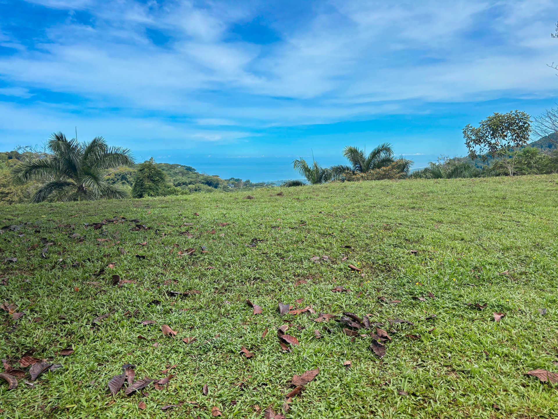 3.6 Acre Ocean View, Near the Beach & Cool Mountain Elevation