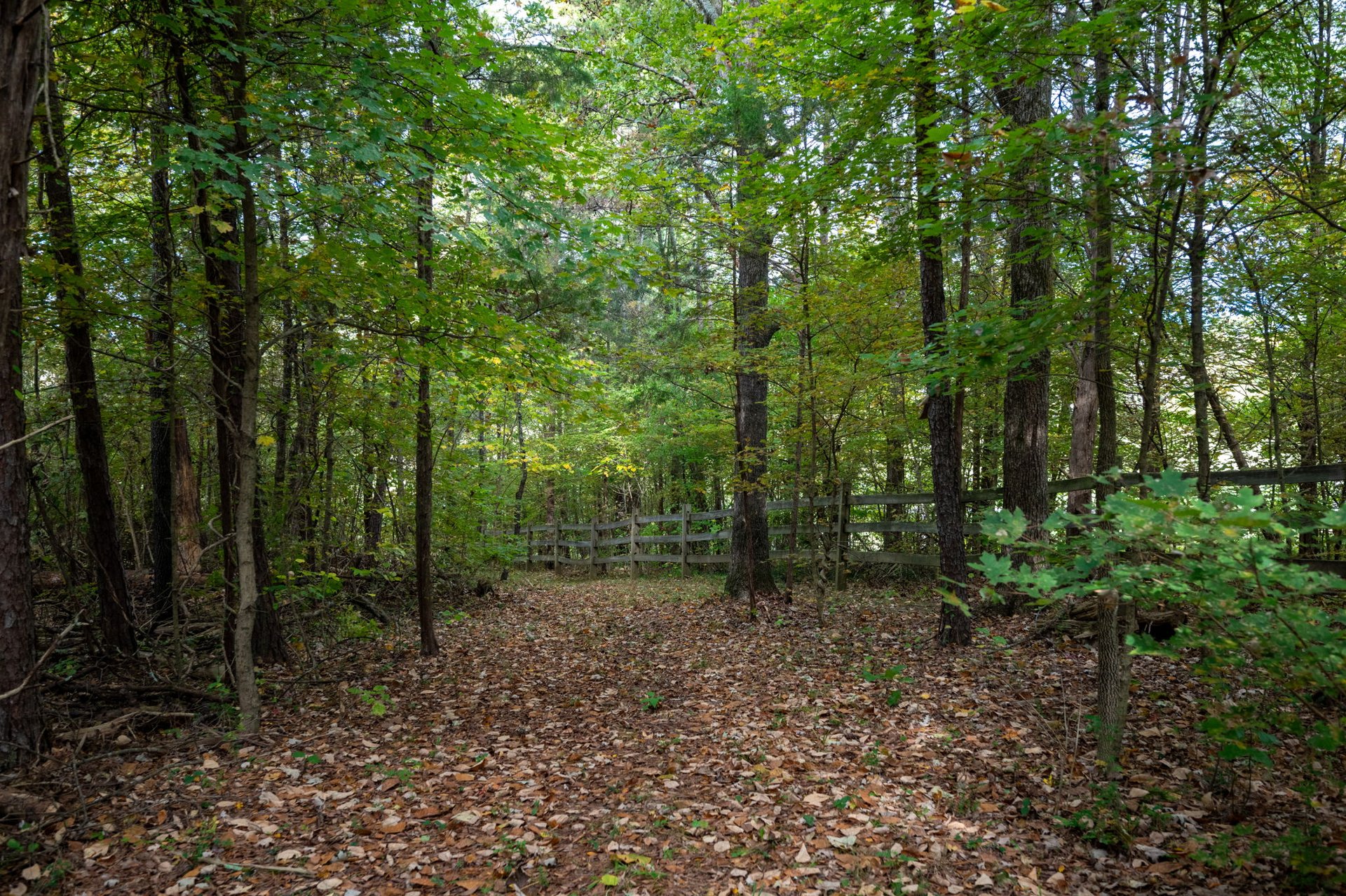 Turnkey Equestrian Estate in Davie County, NC