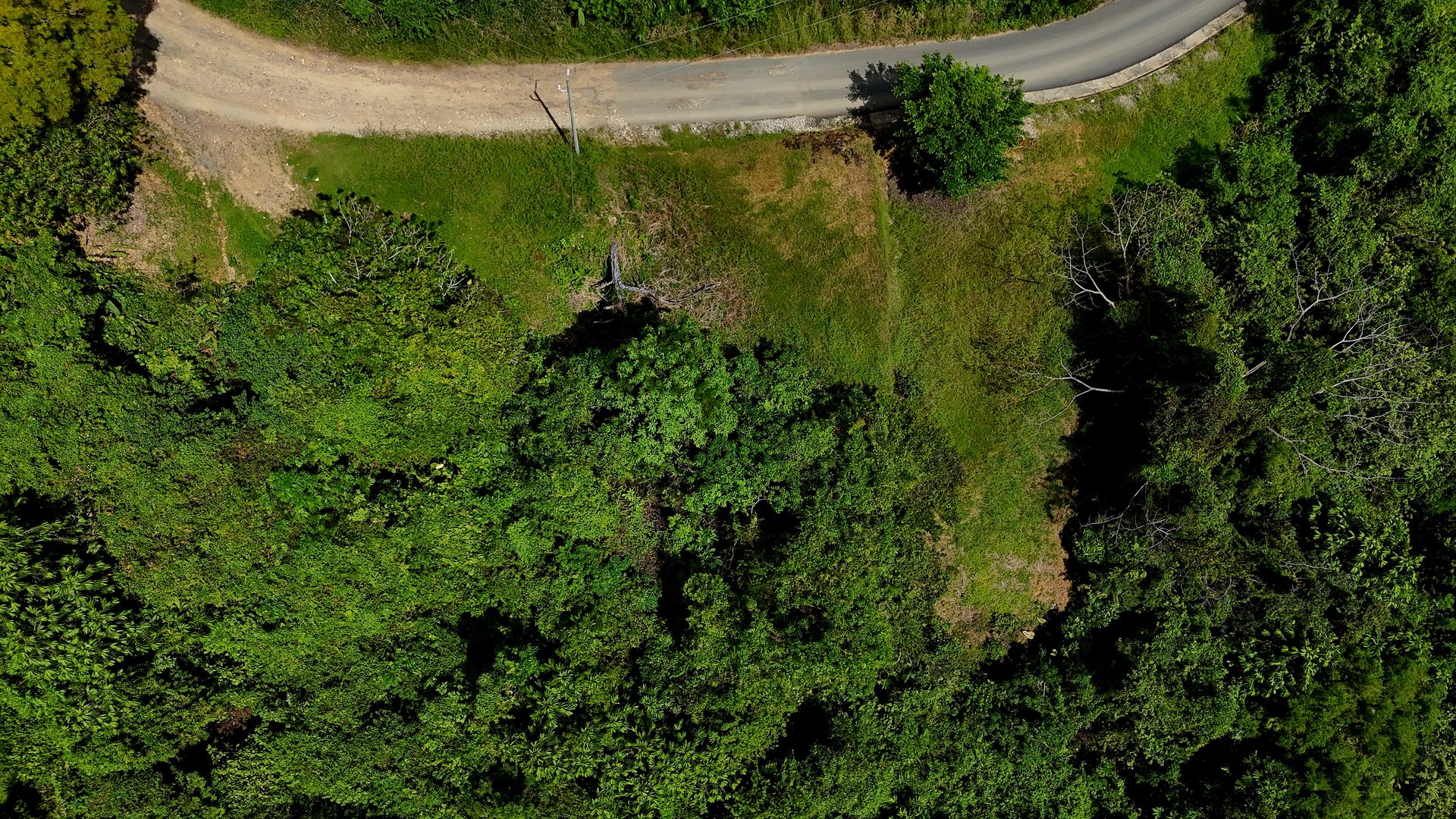 Ocean-View Lot in Chontales – 9,057 m² – Osa, Puntarenas