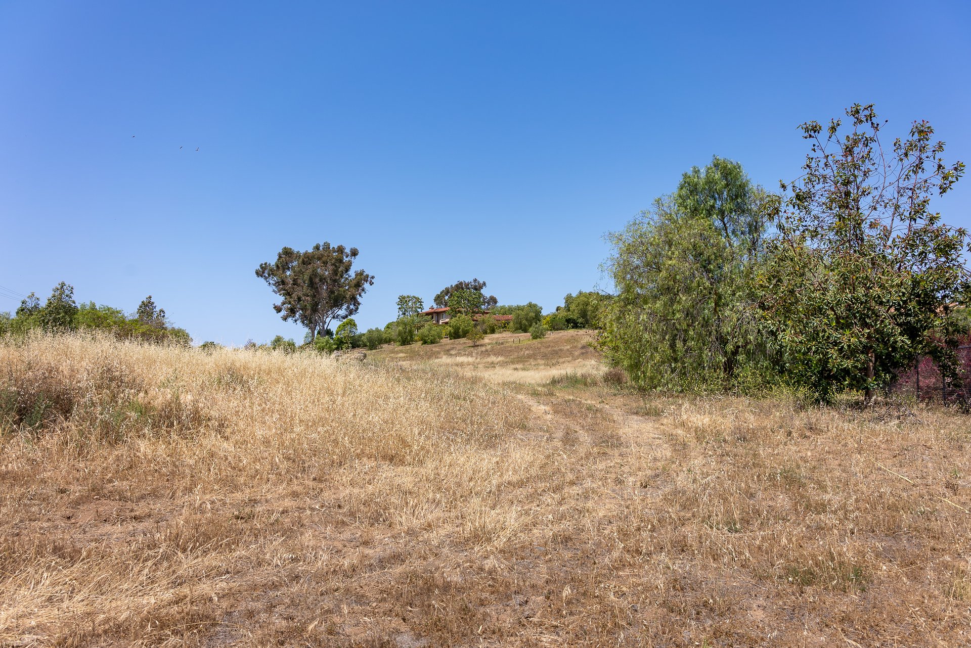 Expansive Lot in the Covenant