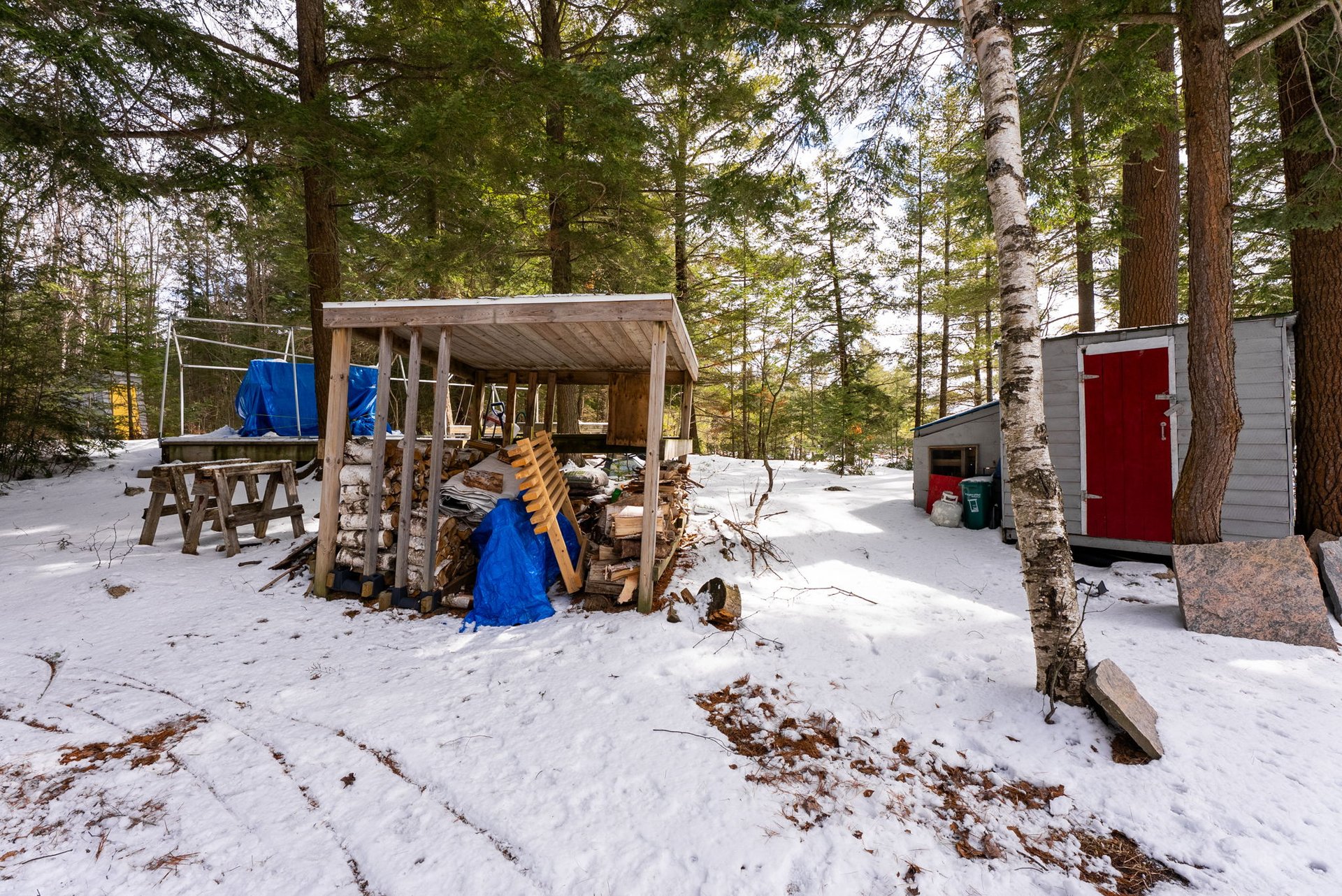 3301B Axe Lake Road