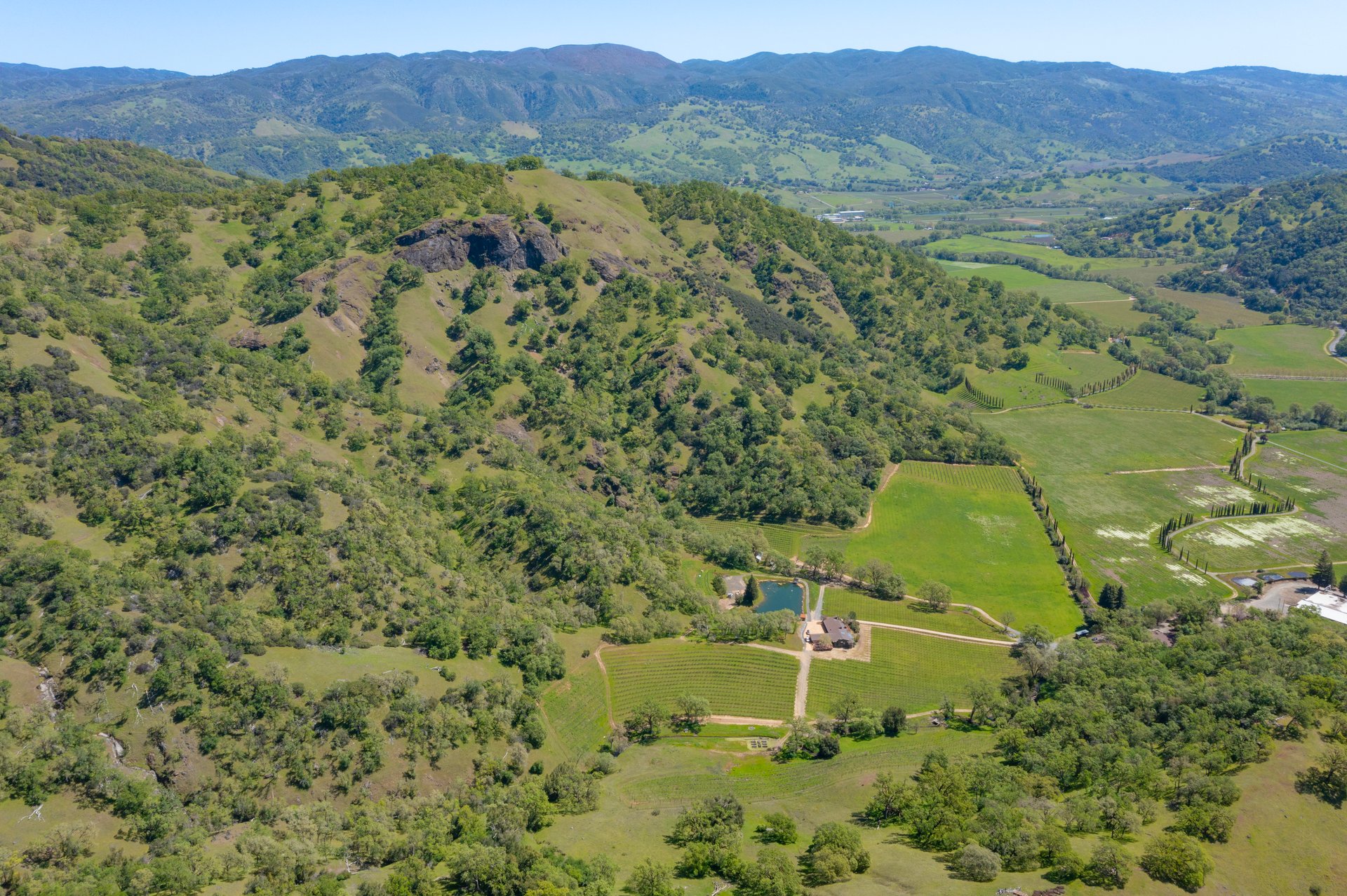Open Hand Ranch 