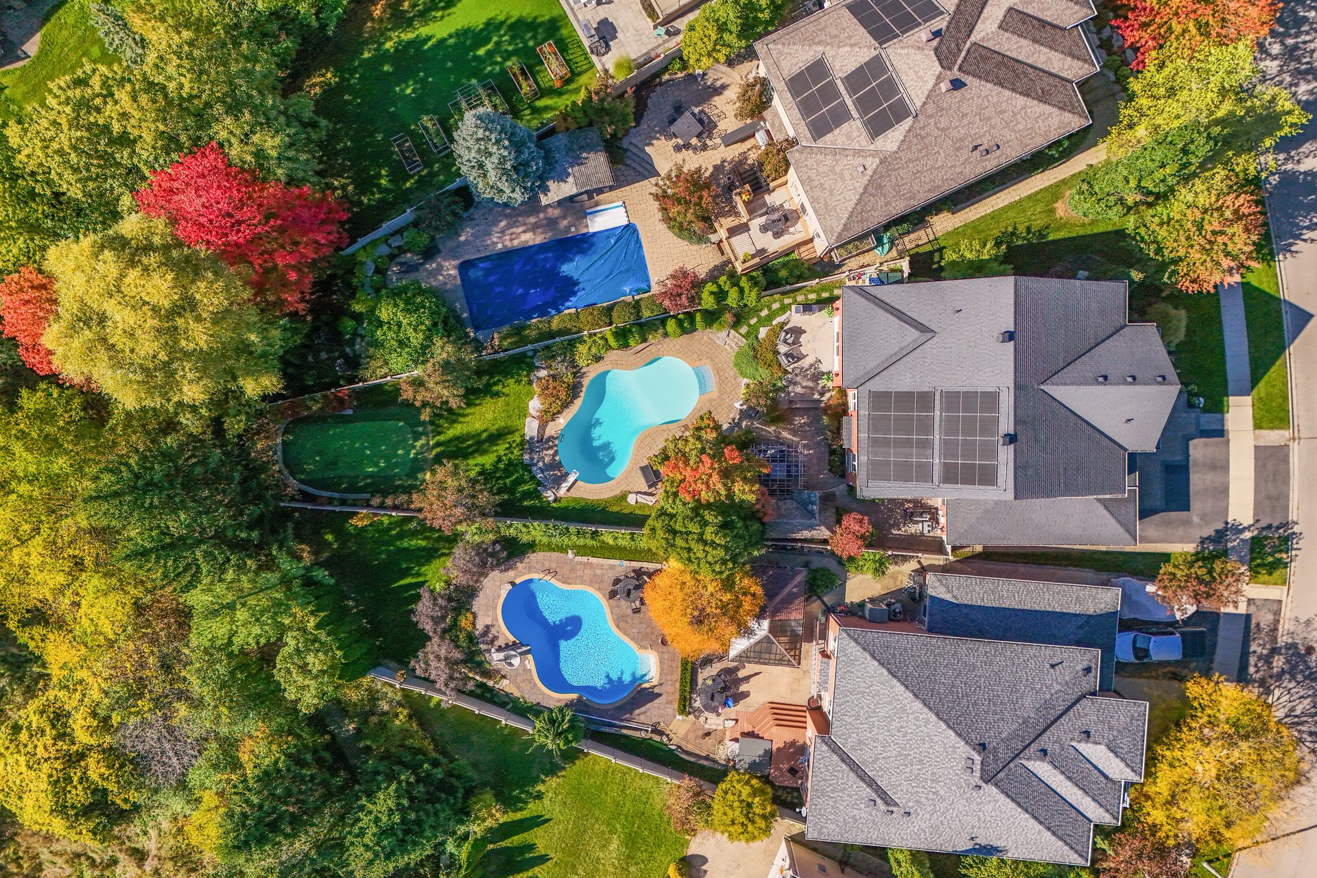 Resort-style yard backing onto lush ravine