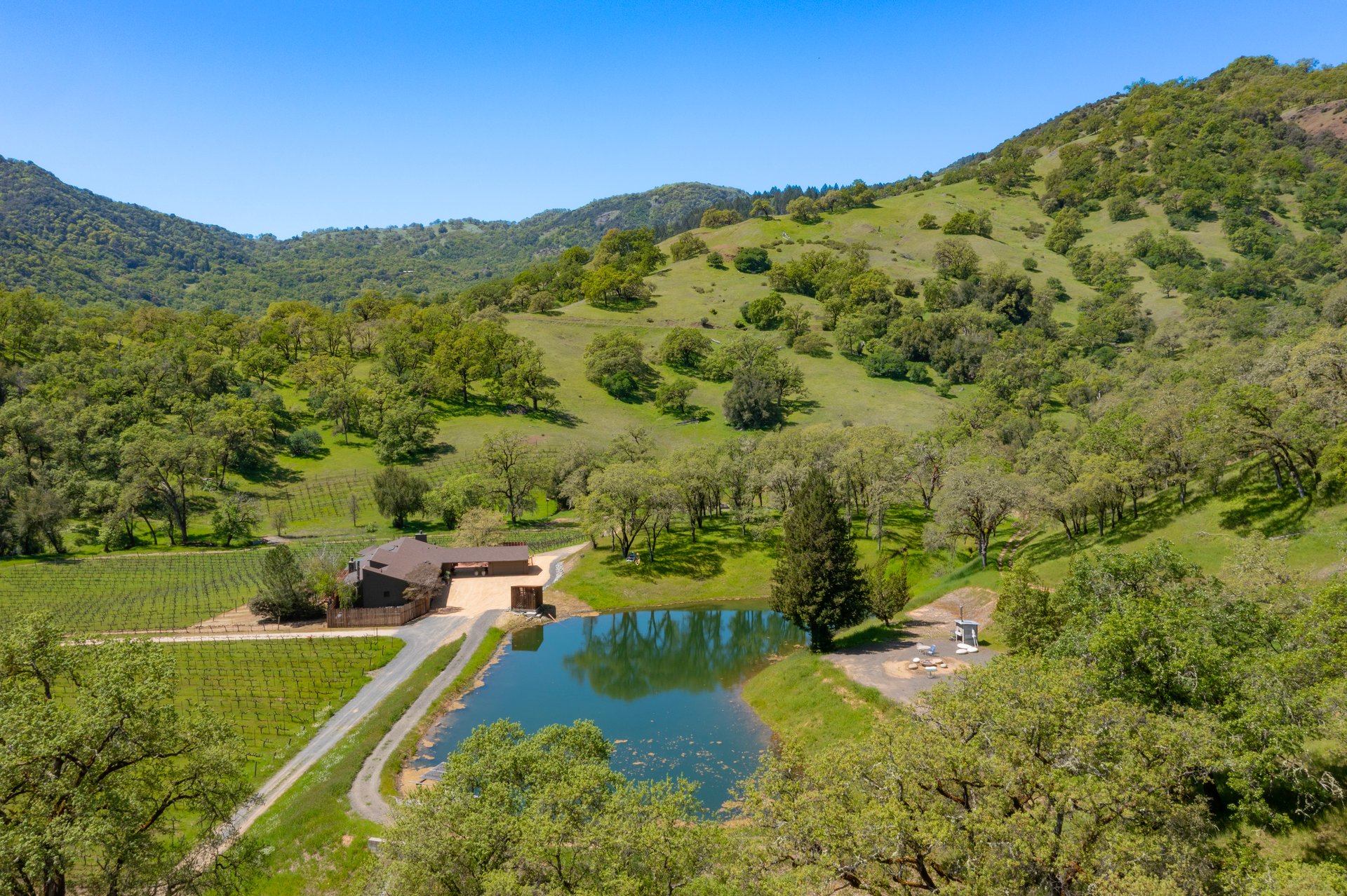 Open Hand Ranch 