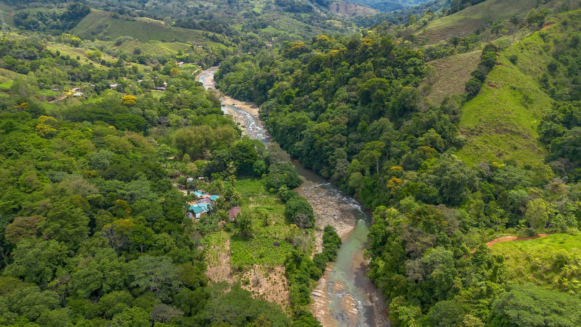 60+ Hectares in Platanillo | Own Your Own Mountain in Costa Rica
