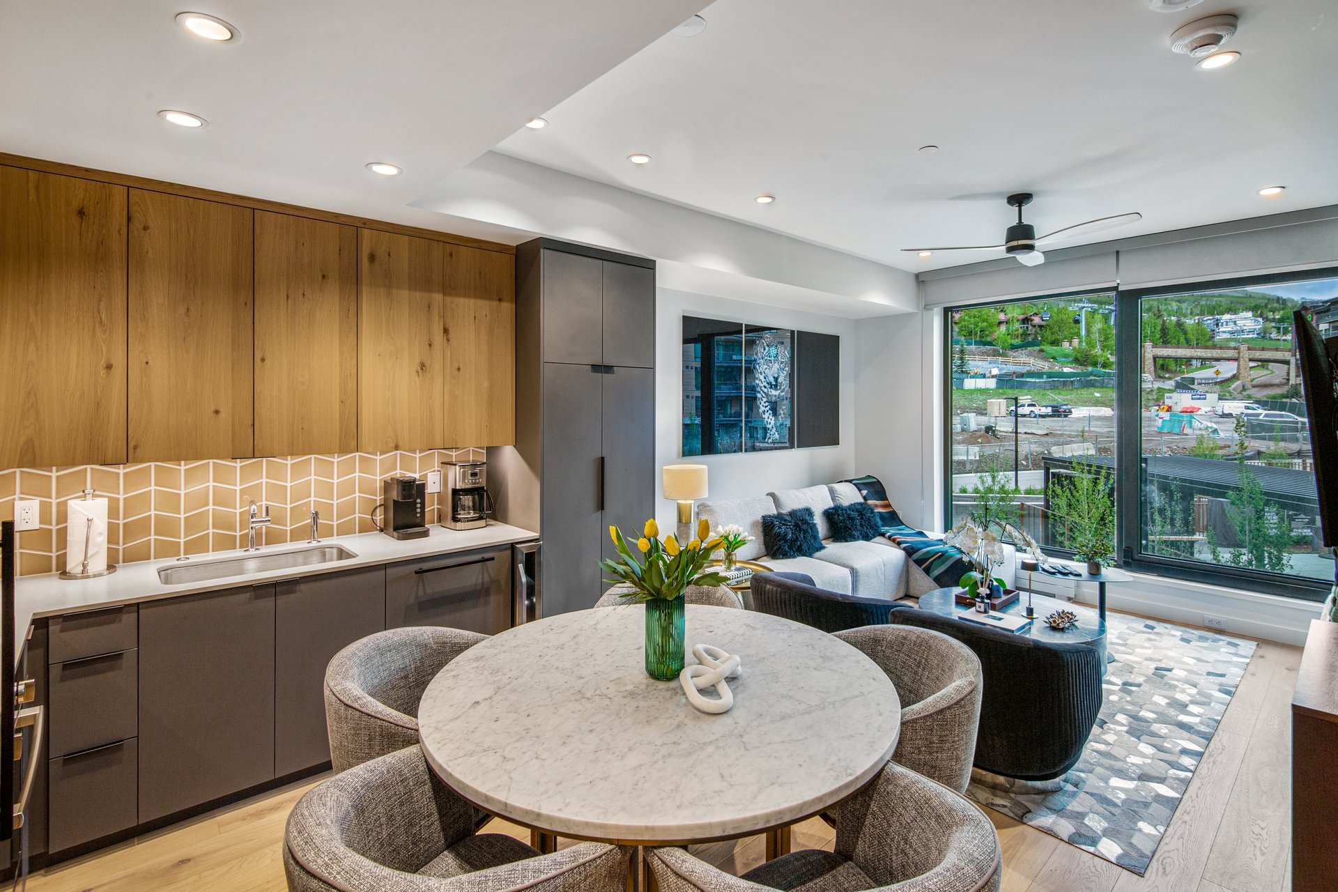 Modern Snowmass Retreat