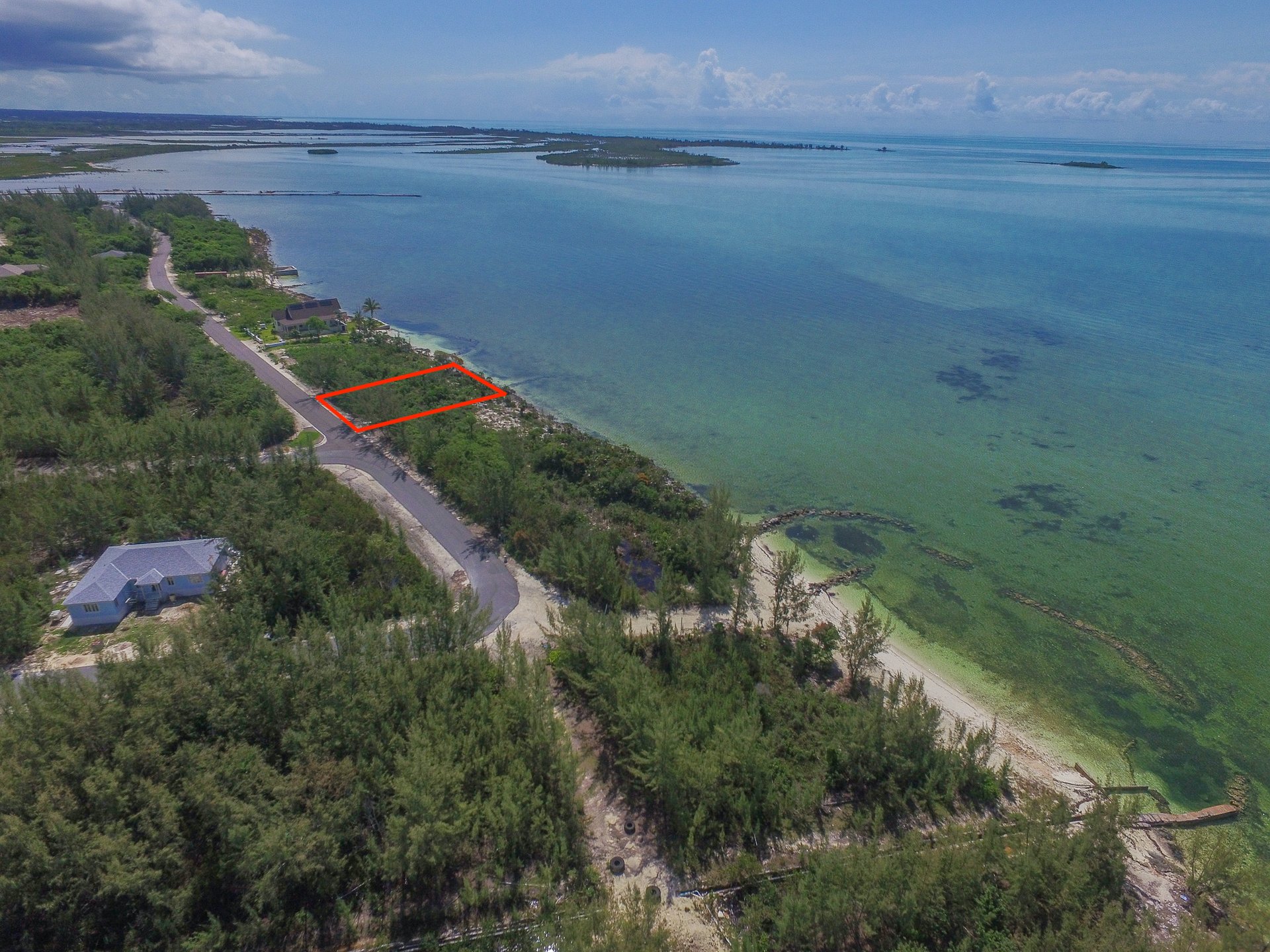 Lot #50 South Seas