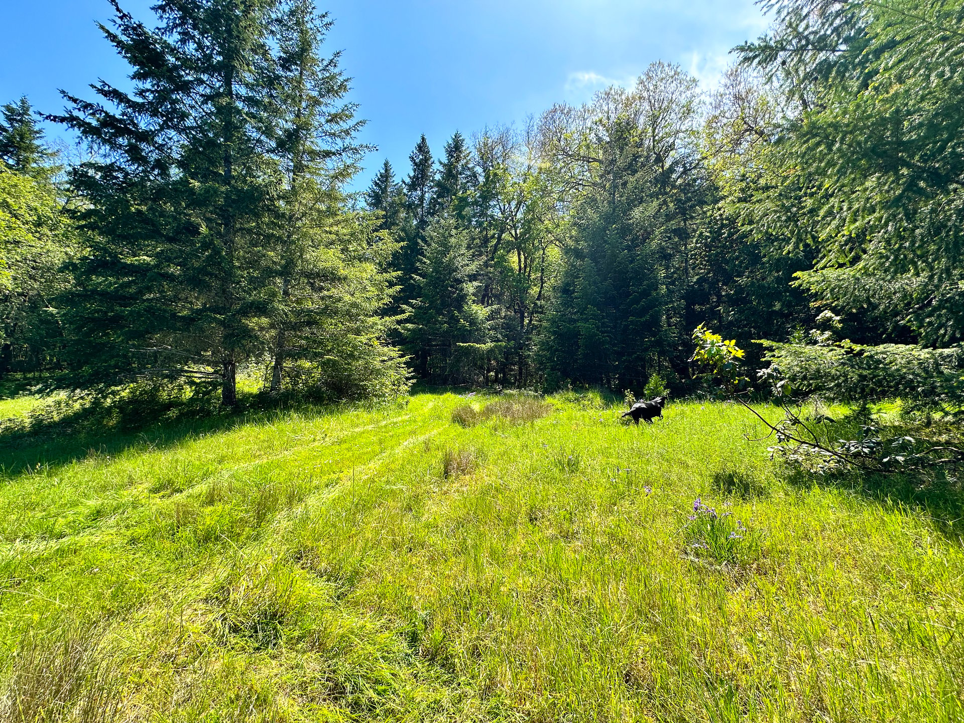 WAGON ROAD HOMESTEAD
