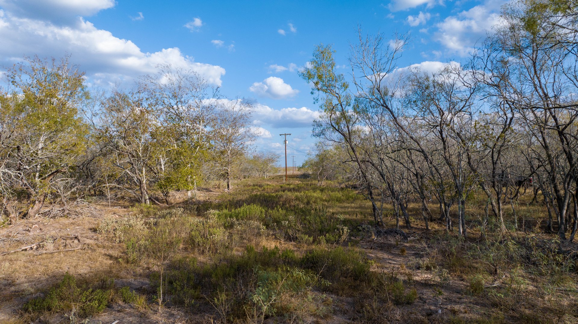 Gonzales County | 104+/- Acres