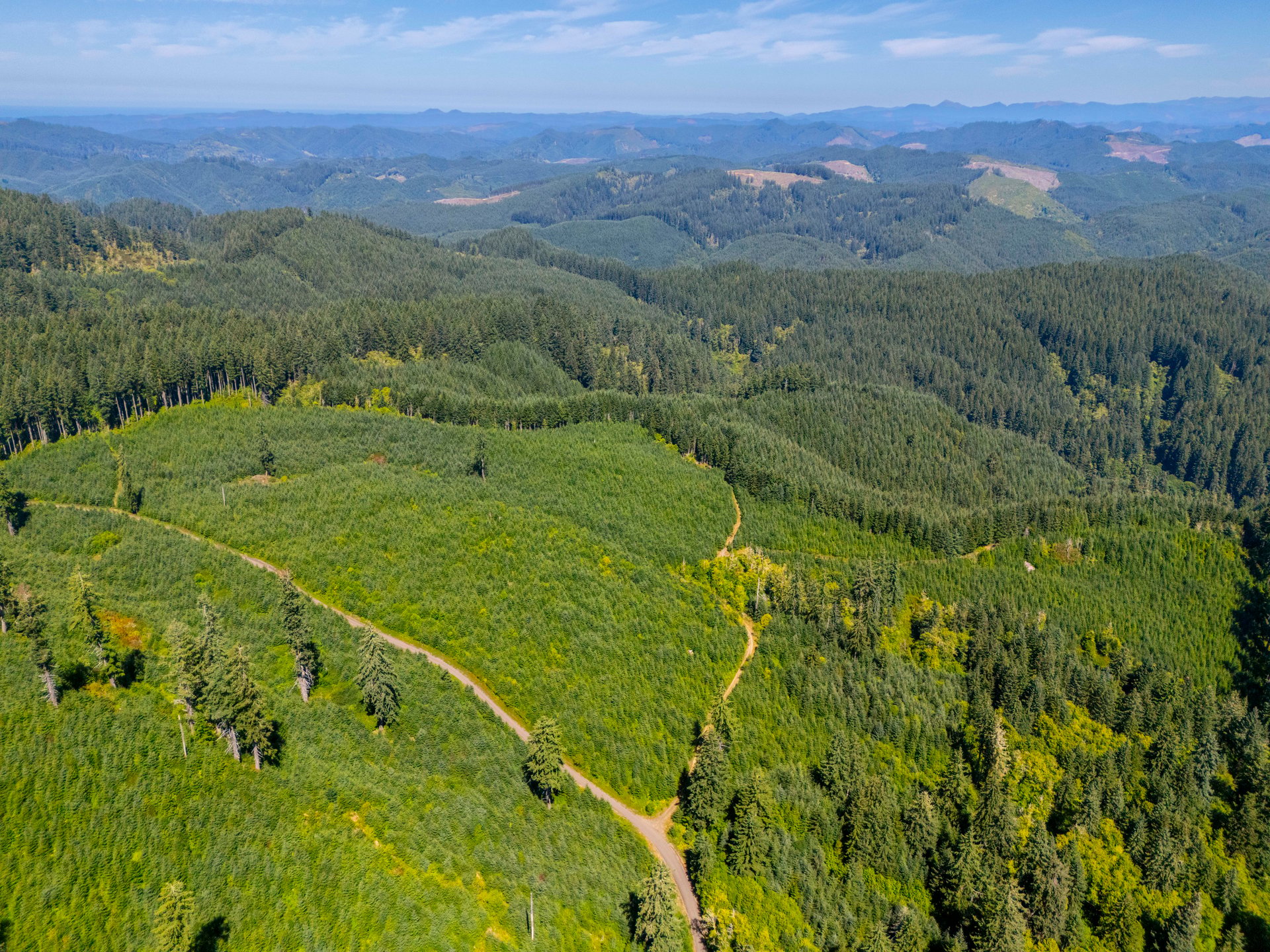 LINCOLN-HILLTOP TREEFARM Sealed Bid Offering 