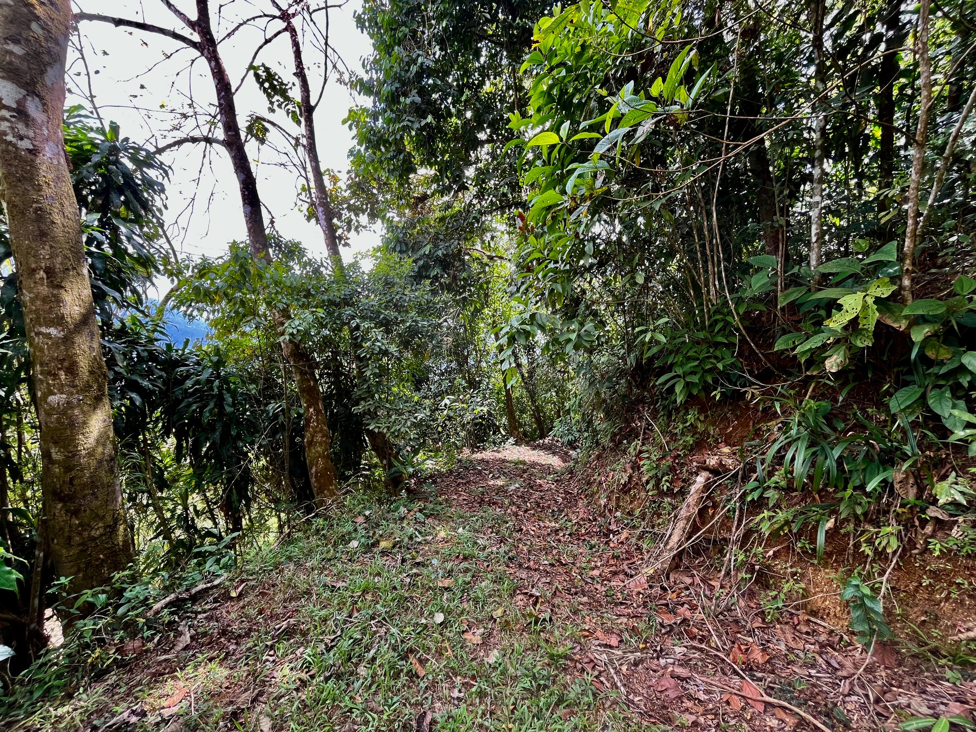 San Luis Ridgetop Ocean & Mountain View Property with Multiple Building Sites!
