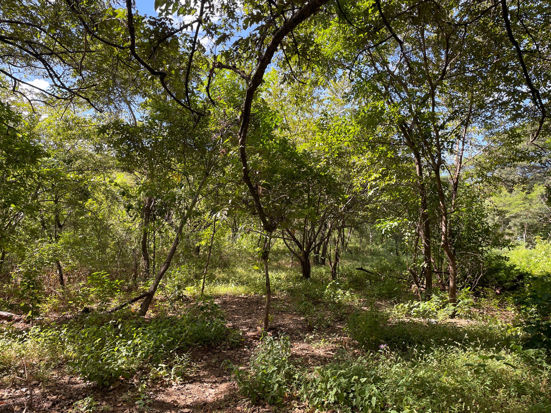 Private Jungle Estate Land in Vistas de Flamingo, Guanacaste, Costa Rica