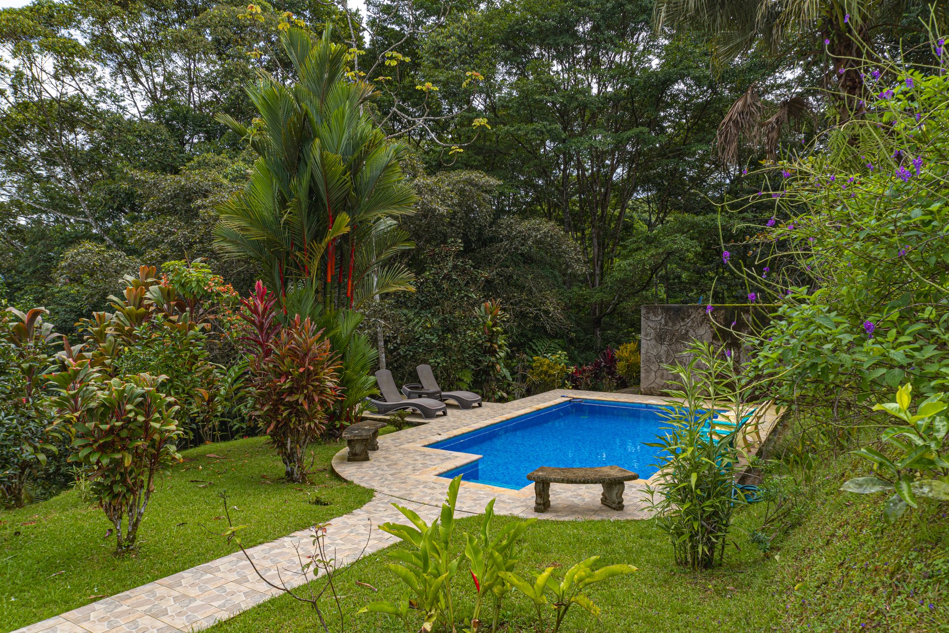 Serene Costa Rican Jungle Retreat with Waterfalls & Wildlife