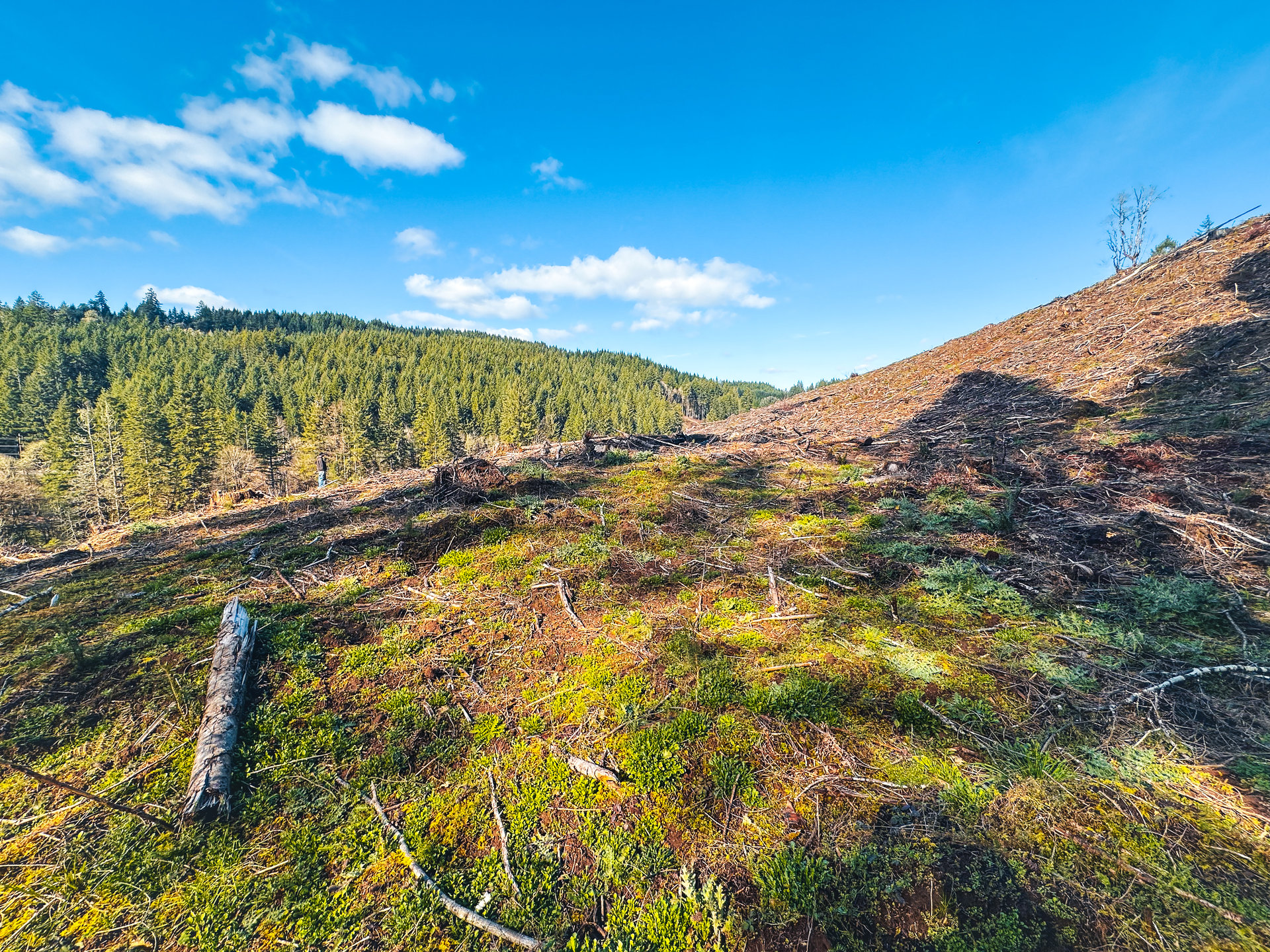 Sharewater Homesite