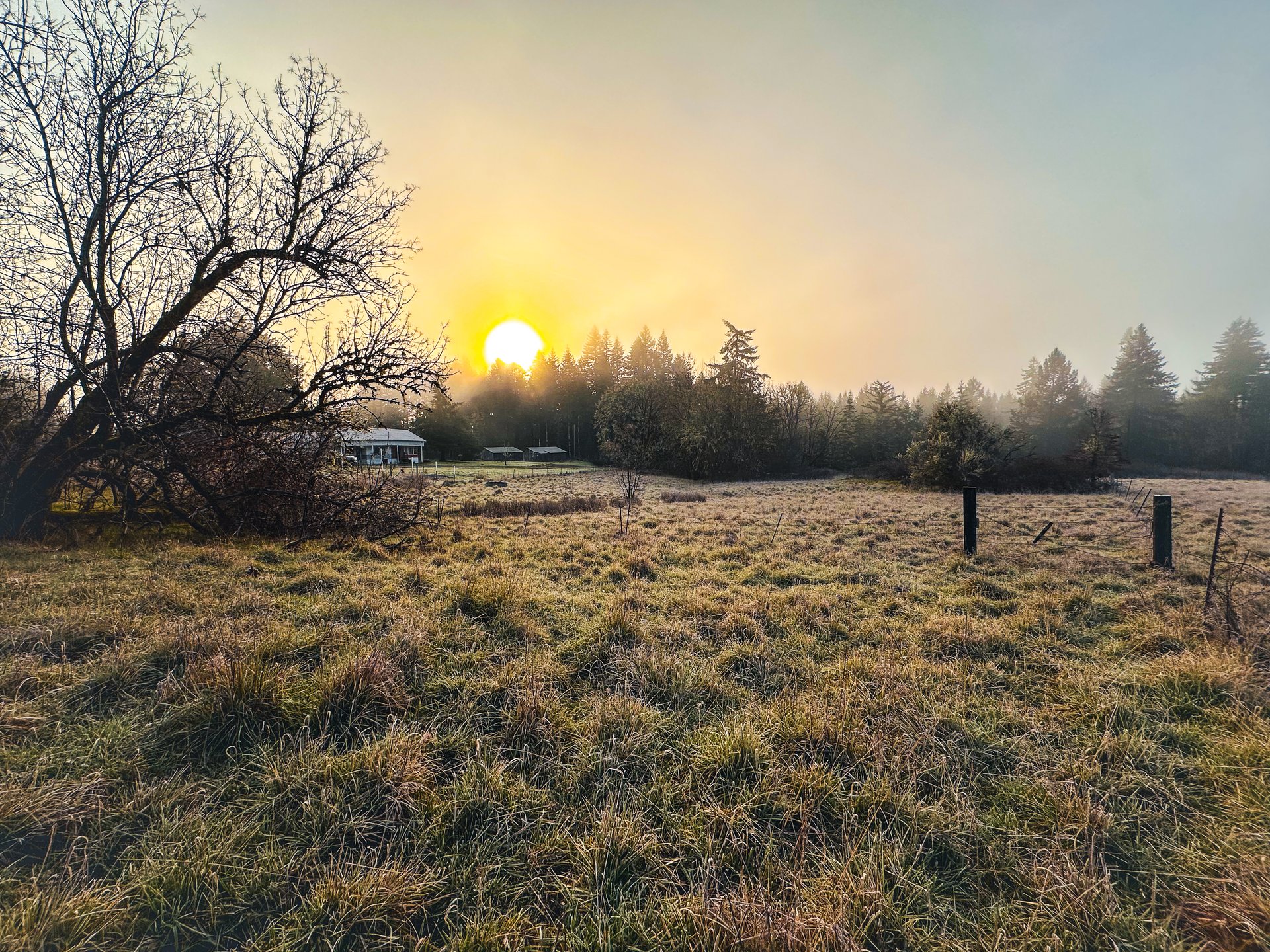 HARRIS FARM & FOREST