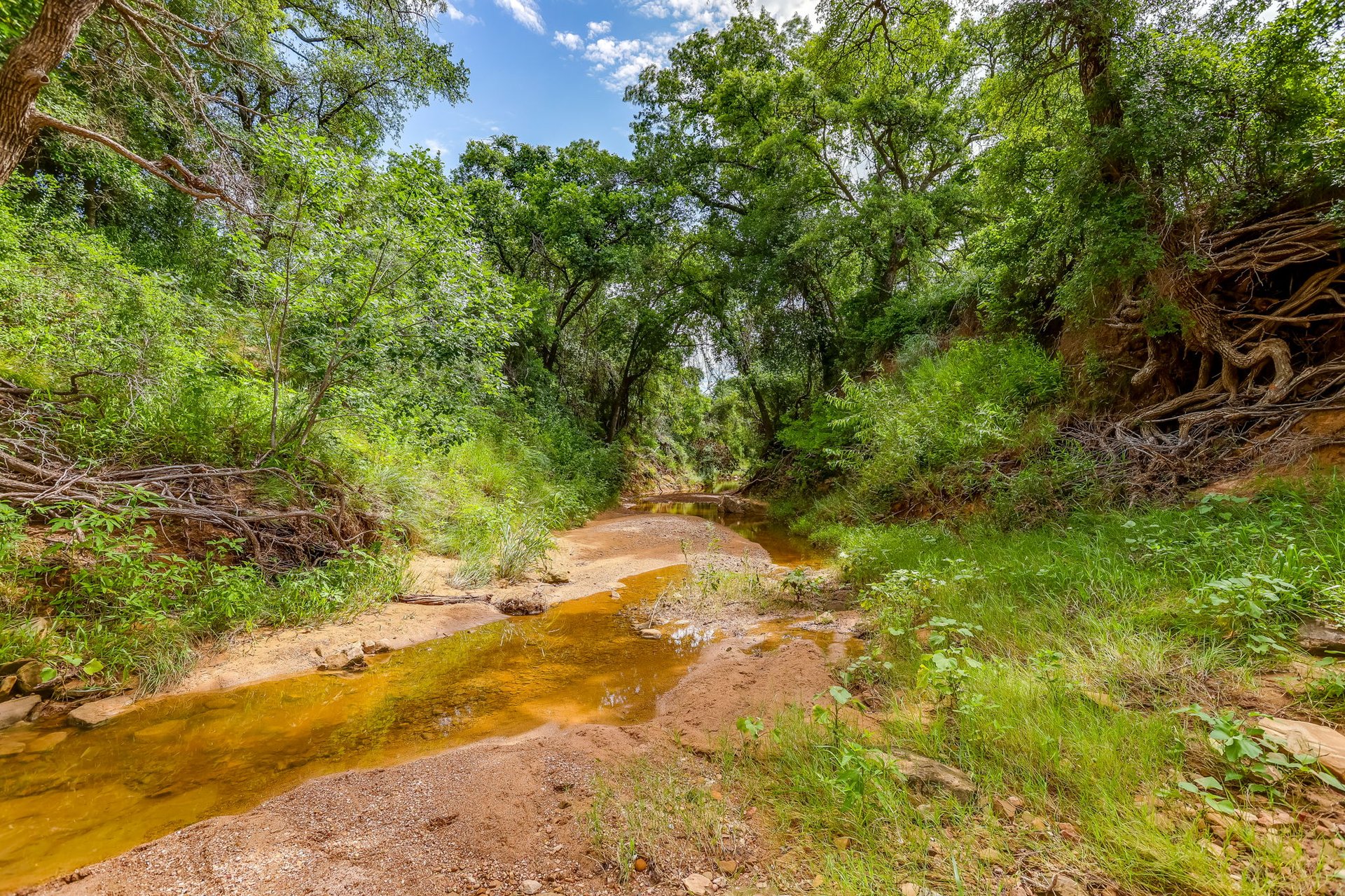 Saddle Ridge Ranch