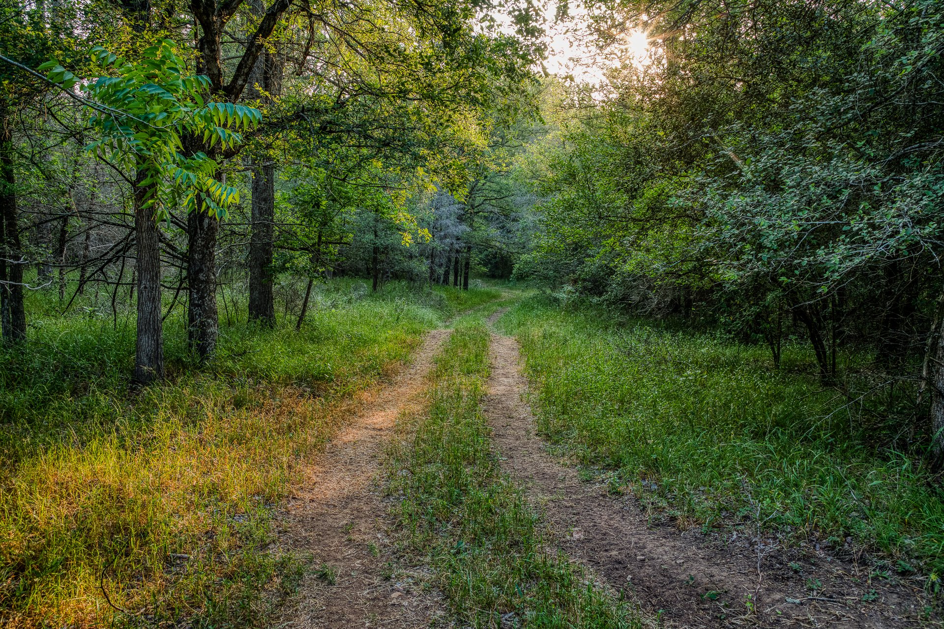 Revival Ranch TX